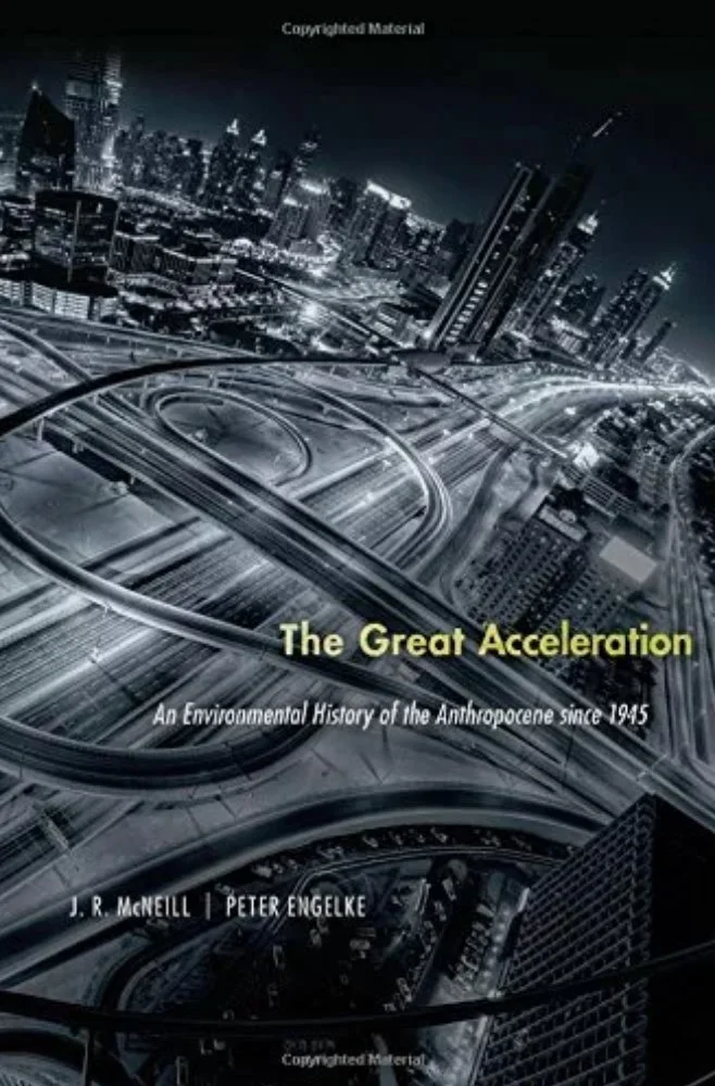 The Great Acceleration 