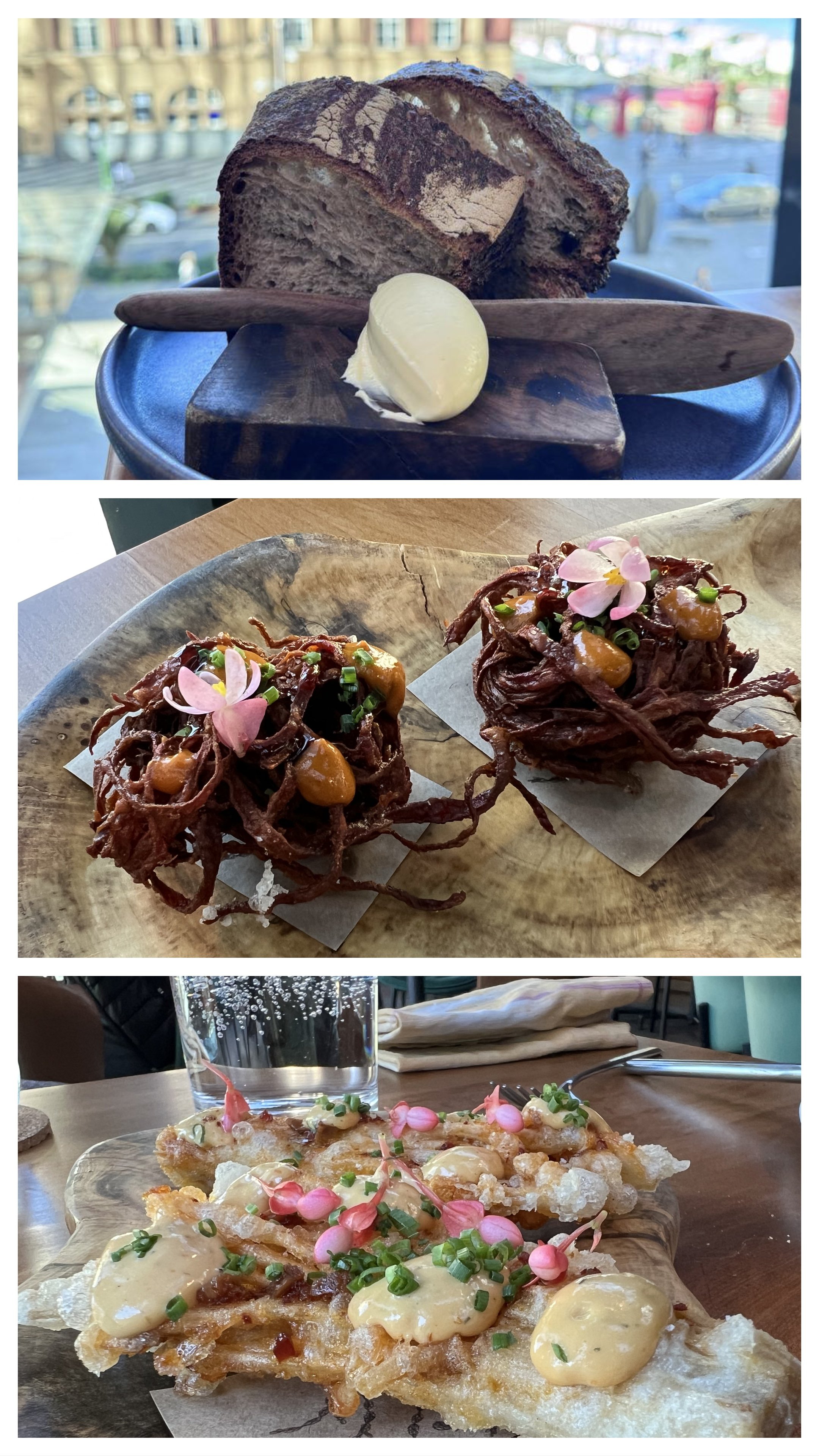 1. Ahi, Auckland.JPG