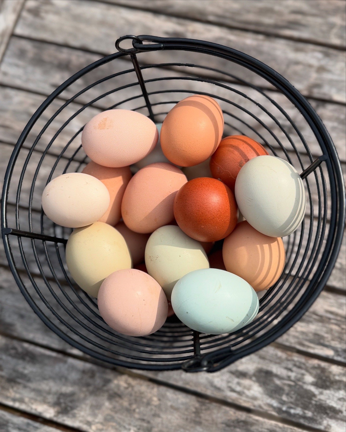 Pasture Raised Eggs (pick up at pop-up)