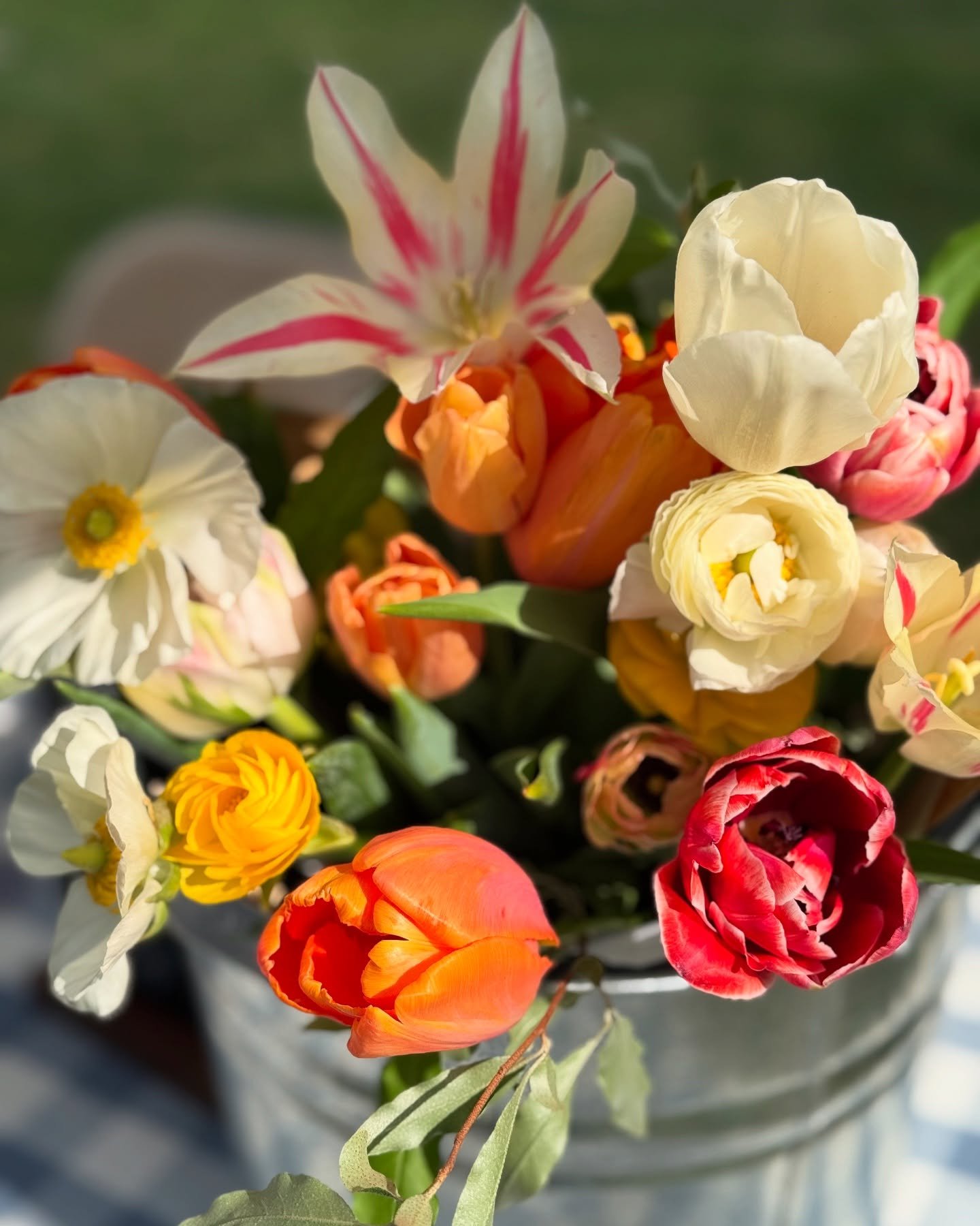 Happy Mother&rsquo;s Day weekend! I&rsquo;ll be heading to West Virginia in a few hours with my family, we are staying in our camper and have a fun weekend planned and I&rsquo;m super excited!

The flowers have been slow moving lately and taking thei