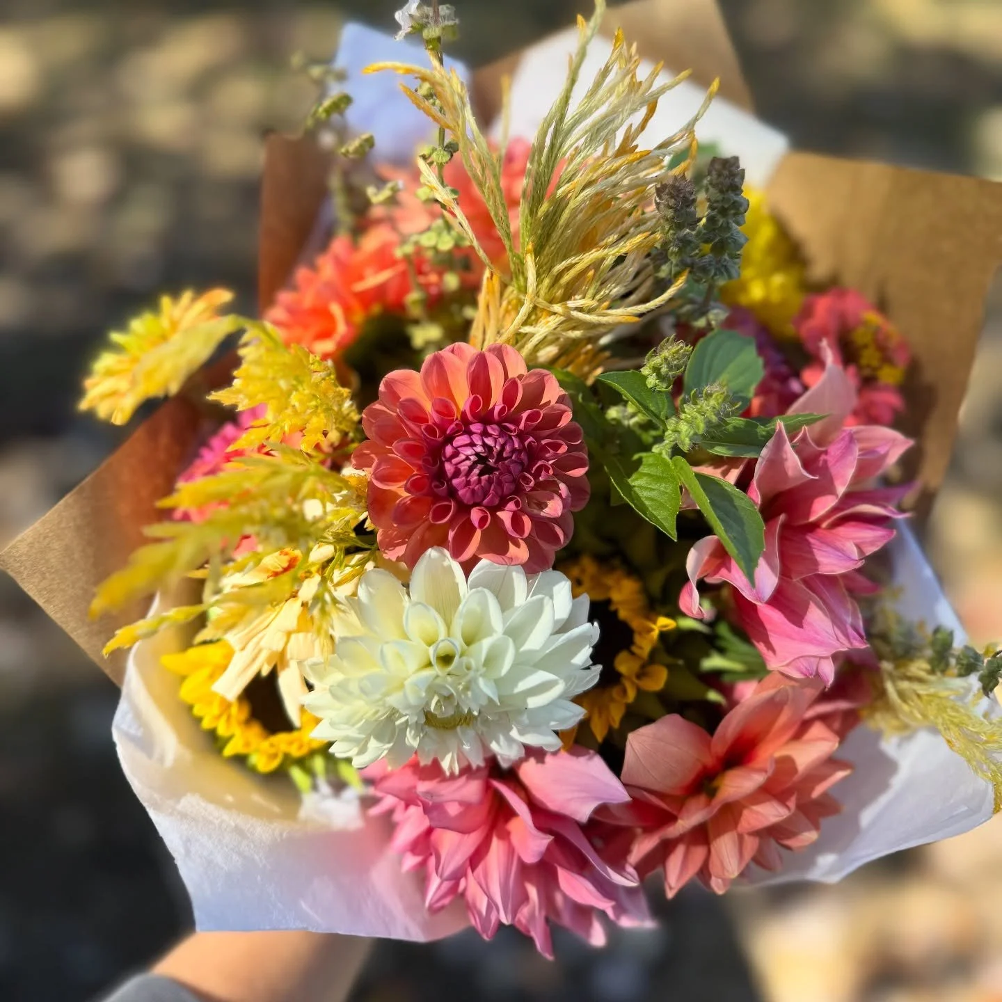 🌻 FLOWER STAND OPEN TODAY FROM 10 &ndash; DUSK + SATURDAY, OCT 18TH FROM 9 &ndash; DUSK 🌻

Hey friends! The flower stand is opening a little earlier than planned today, and I wanted to give you a quick update.

It will be stocked and ready with the