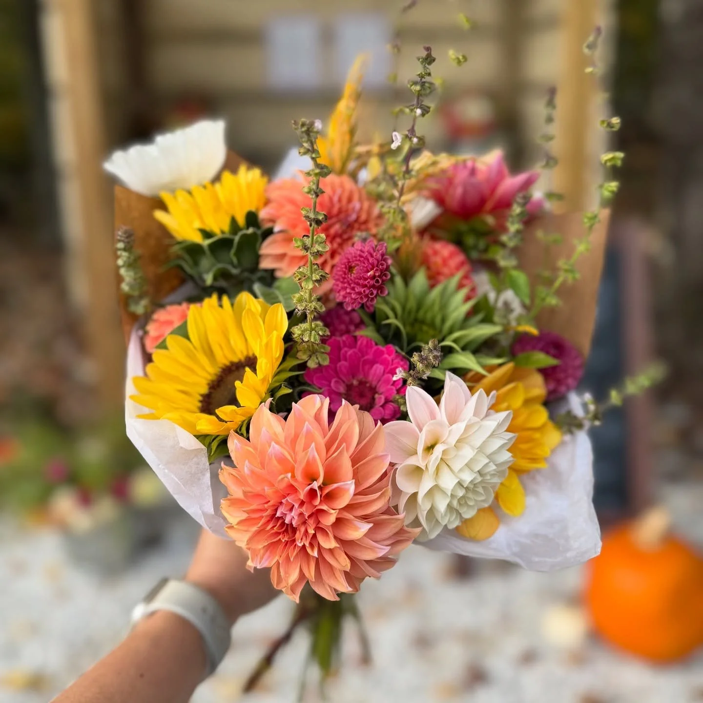 The flower stand is open friends! ✨

And this just might be the last one of the season, next week the lows are getting lower and I&rsquo;m afraid the first frost might be here possibly even Monday 🫣. So if you&rsquo;re wanting the last blooms of the