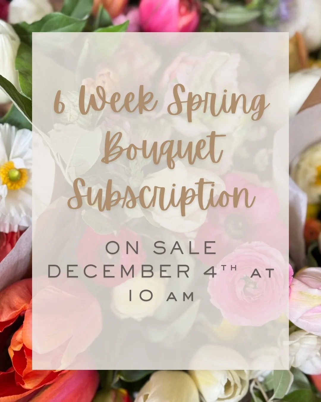 It&rsquo;s finally here! The details about my Spring Bouquet Subscription &mdash; and I&rsquo;m so excited cause it&rsquo;s going to be AMAZING.

This subscription is a 6-week series of curated deluxe bouquets, filled with the most gorgeous flowers &