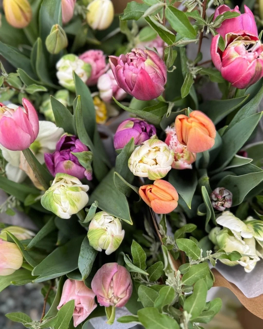 What the Wilderbloom Spring Bouquet Subscription looks like and why it&rsquo;s a 10/10 👌

- You get the prettiest blooms I grow - picked special and just for sub holders. 

- Flower make life more FUN ✨

- It gives you something to be excited about 