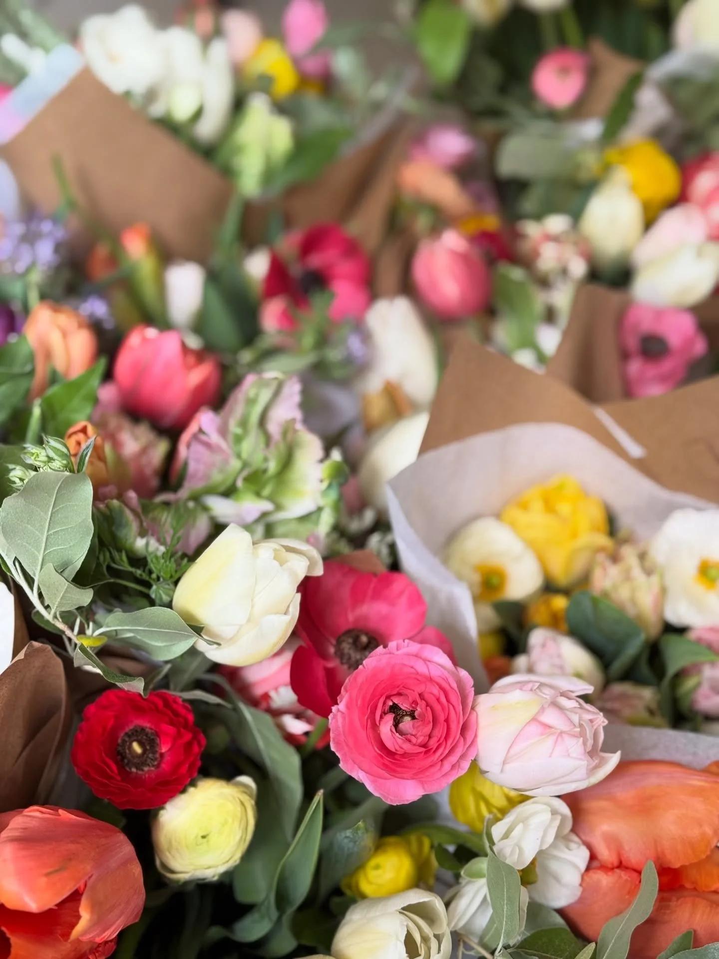 ✨🌷Spring Subscriptions are OPEN NOW! 

Click the link in bio to sign up + get your FREE Wilderbloom Dahlia Grow Kit! 💓

Benefits of these blooms include:
- instant state of euphoria
- perma-smile
- chores feel 30% less annoying
- gives you somethin