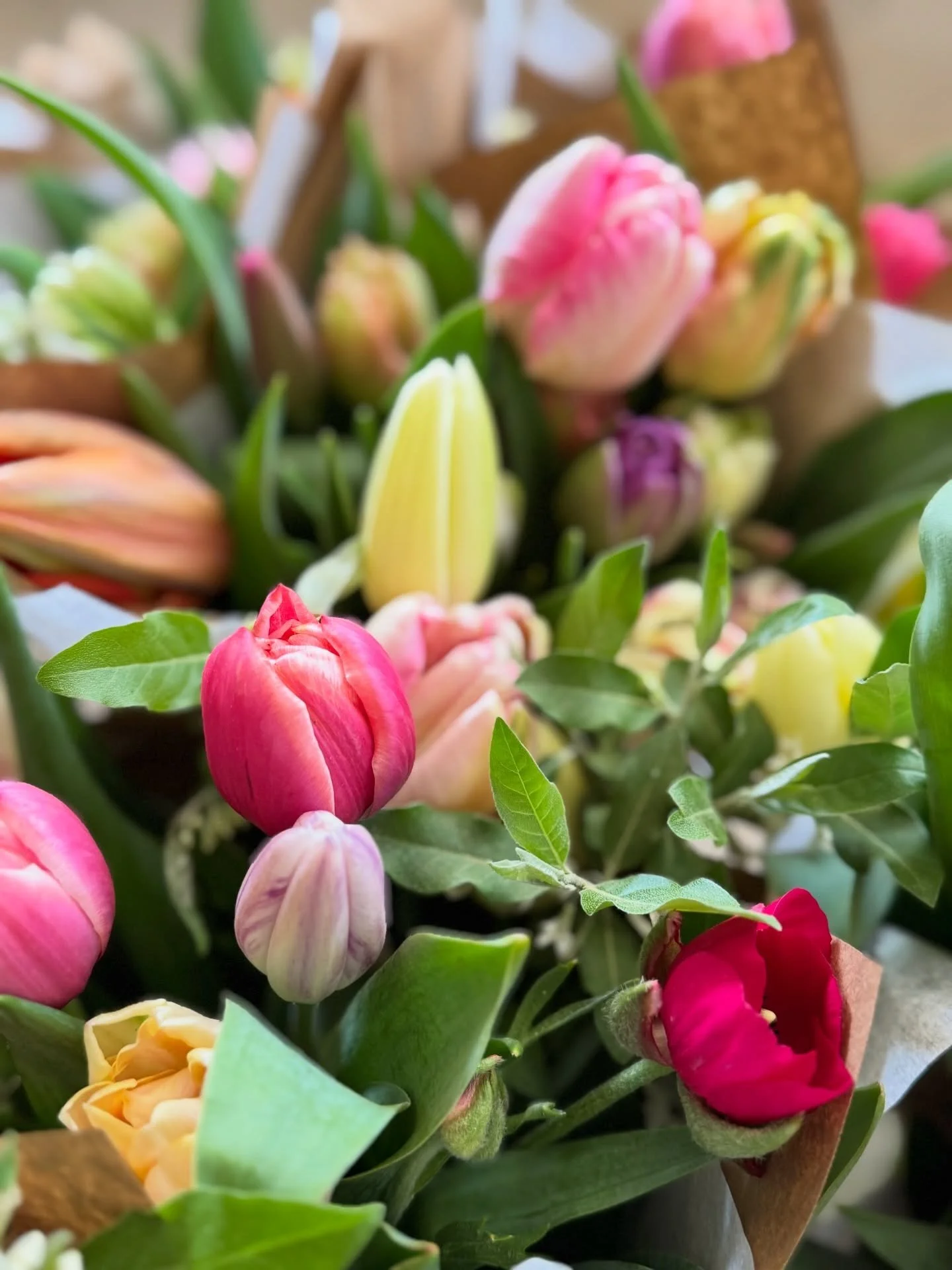 🌸 SPRING BOUQUET GIVEAWAY &mdash; WEEK 2 🌸

Congratulations @cvillemomtog &mdash; you&rsquo;re Week 1&rsquo;s bouquet winner! 💐 I&rsquo;ll be reaching out with details soon.

Didn&rsquo;t win last week? There are still 3 more chances to win!

To e