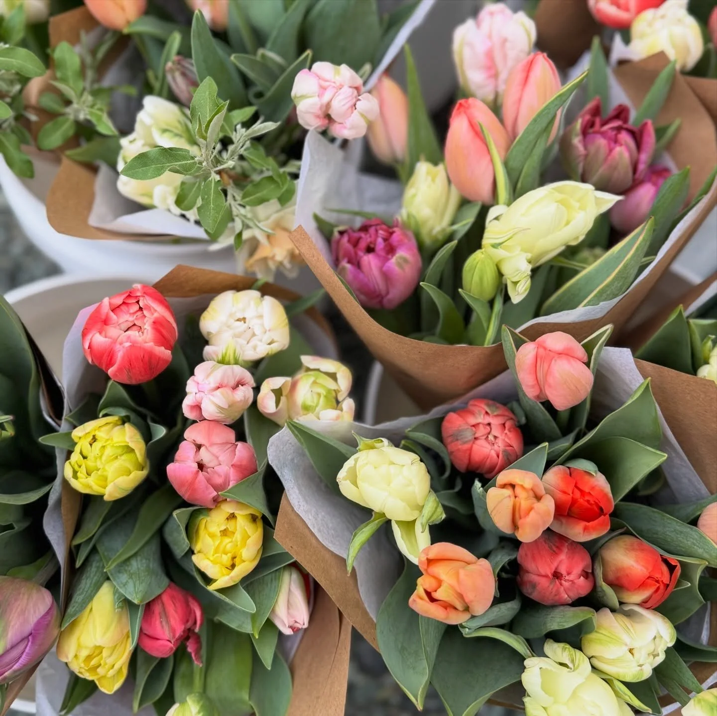 🌸 SPRING BOUQUET GIVEAWAY &mdash; WEEK 3 🌸

Another week&hellip;another chance to win a paper wrapped spring bouquet!

Congratulations to @jmdooley1 &mdash; last week&rsquo;s winner! I&rsquo;ll be reaching out to you soon! 

To enter for week 3:
- 