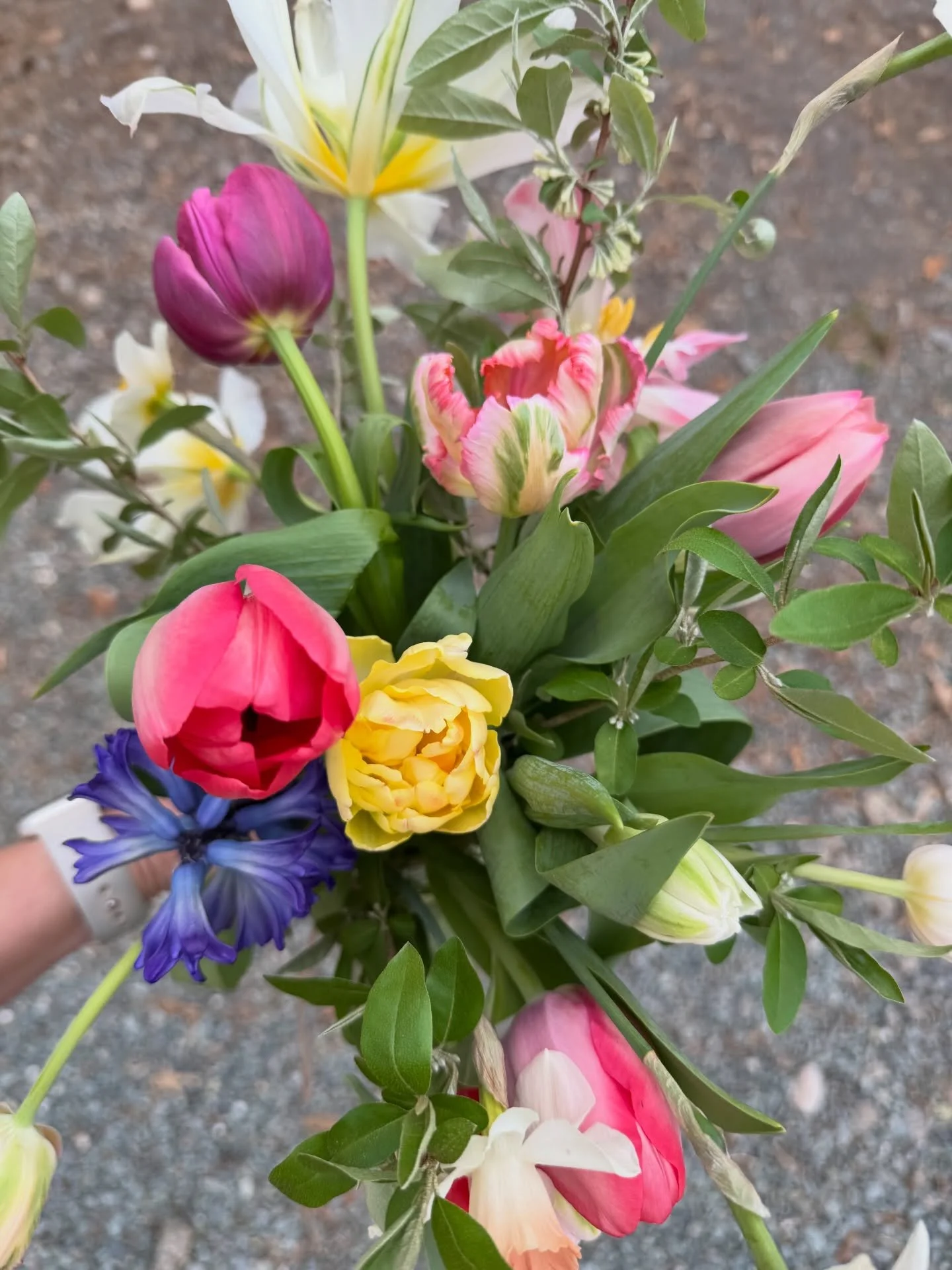 The perfect jar arrangement for the start of spring! 🌸
I had so much fun putting this together and am loving all the bright pops of color and greens.

These jars will be available next week at my flower pop-up! Exact date and time will be announced 