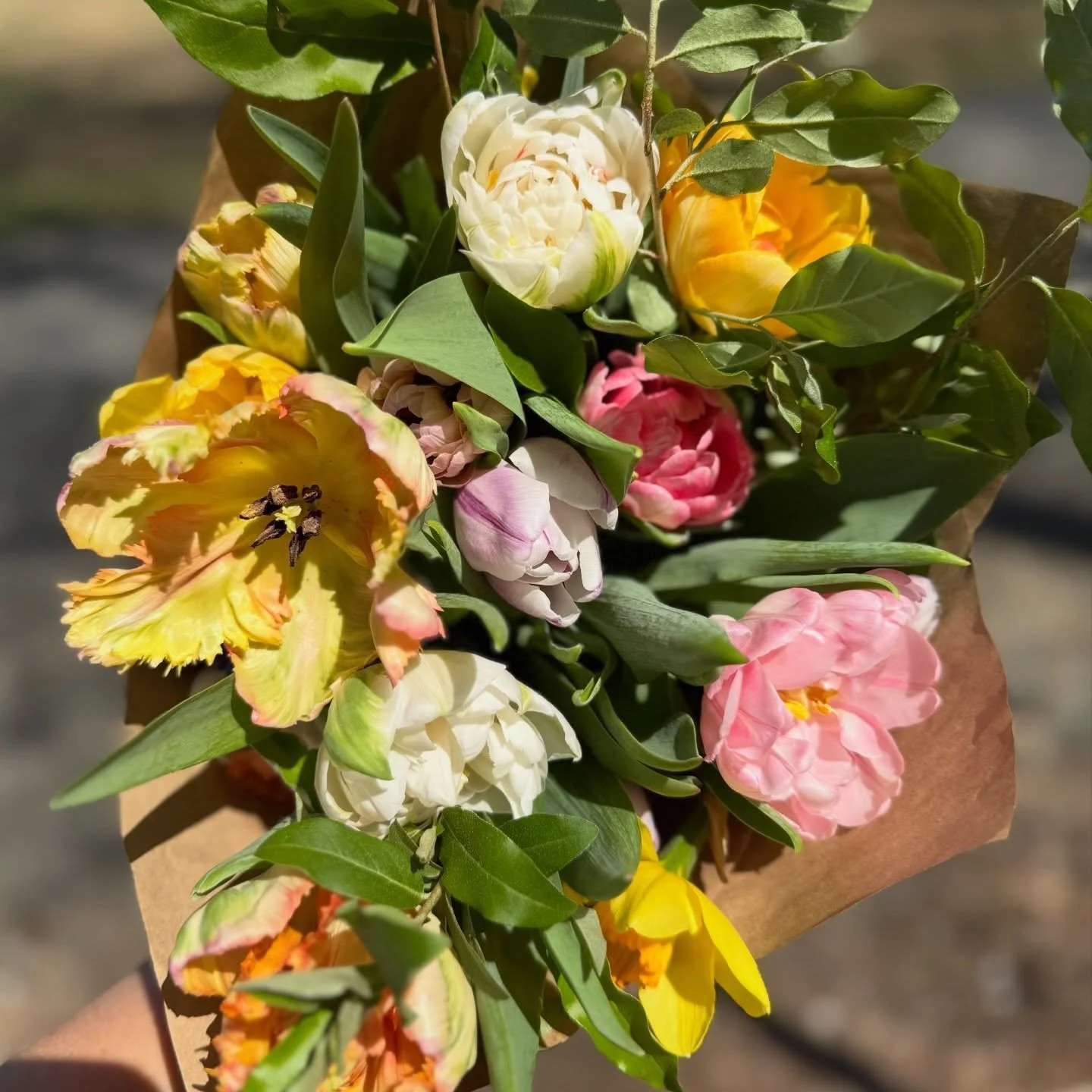 These flowers are waiting for you at the stand! Open now till 7! Come grab them before they&rsquo;re gone 🌸🌸🌸
 Corner of Reas Ford Rd + Serendipity Ln Earlysville  
Flower stand | Spring flowers | Virginia flower farm | Earlysville, VA | Charlotte