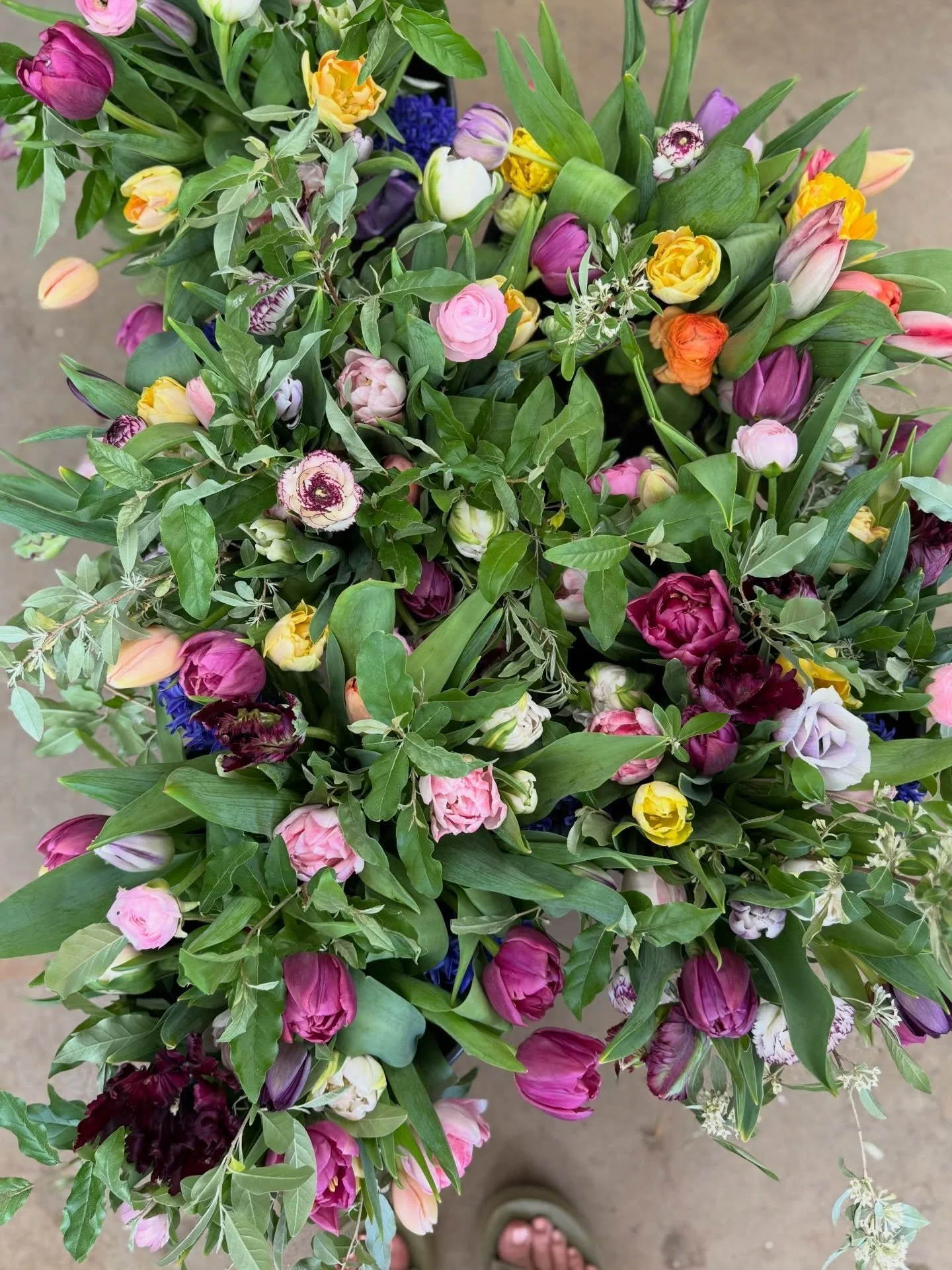 WEEK 2 - SPRING BOUQUET SUBSCRIPTION 🪻

This weeks bouquets turned out so beautiful and featured black parrot tulips, blue hyacinth and the first ranunculus blooms! 

I&rsquo;m loving the darker colors contrasting with the lighter pinks and whites!
