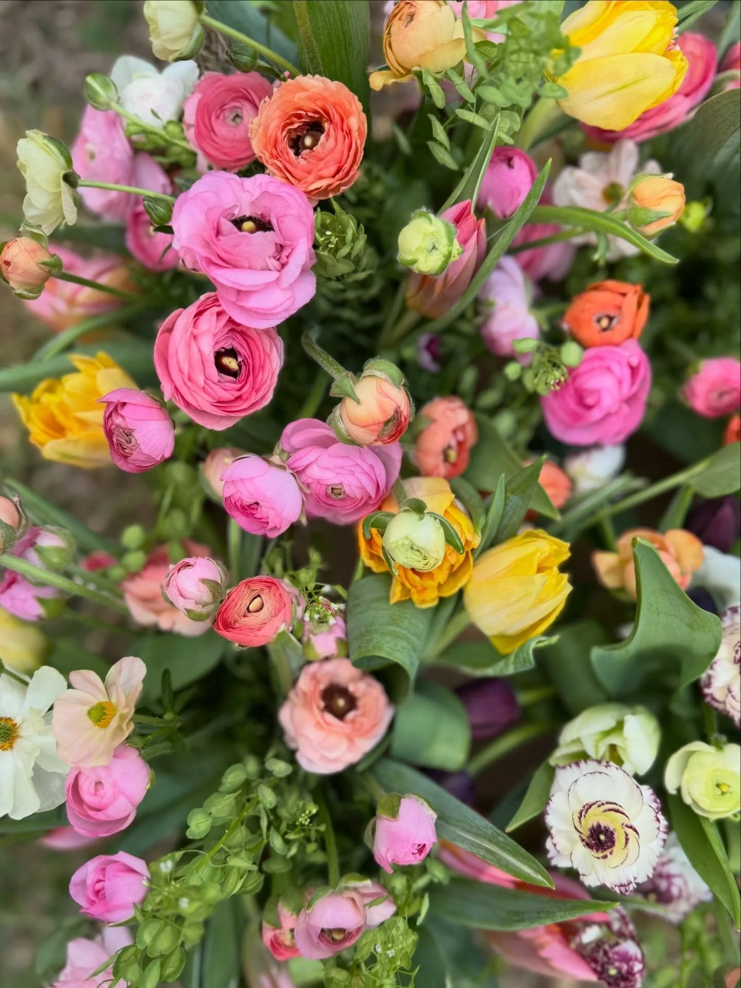 Yesterday a customer came to pick up a custom bouquet &mdash; she&rsquo;d fallen in love with the ranunculus from her subscription and wanted to bring something special to a dinner party.

We got to talking at the stand, and I mentioned these flowers