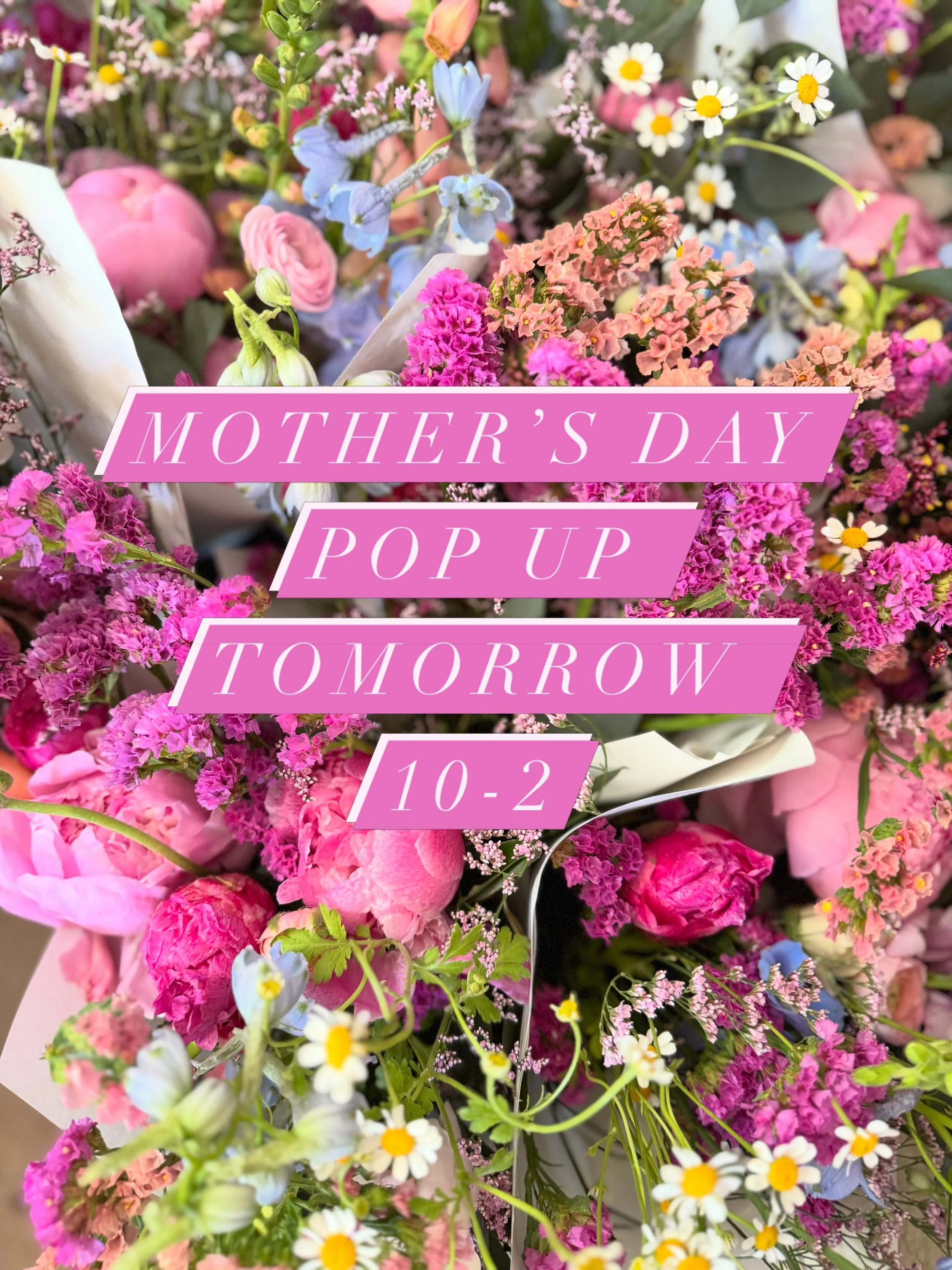 Charlottesville! Come visit me tomorrow and get your hands on the most gorgeous blooms!! 

I&rsquo;ll be set up from 10-2 ready and waiting for you! Corner of Reas Ford Rd + Serendipity Lane, Earlysville. 

Your mom wants this flowers - trust me!!! ?