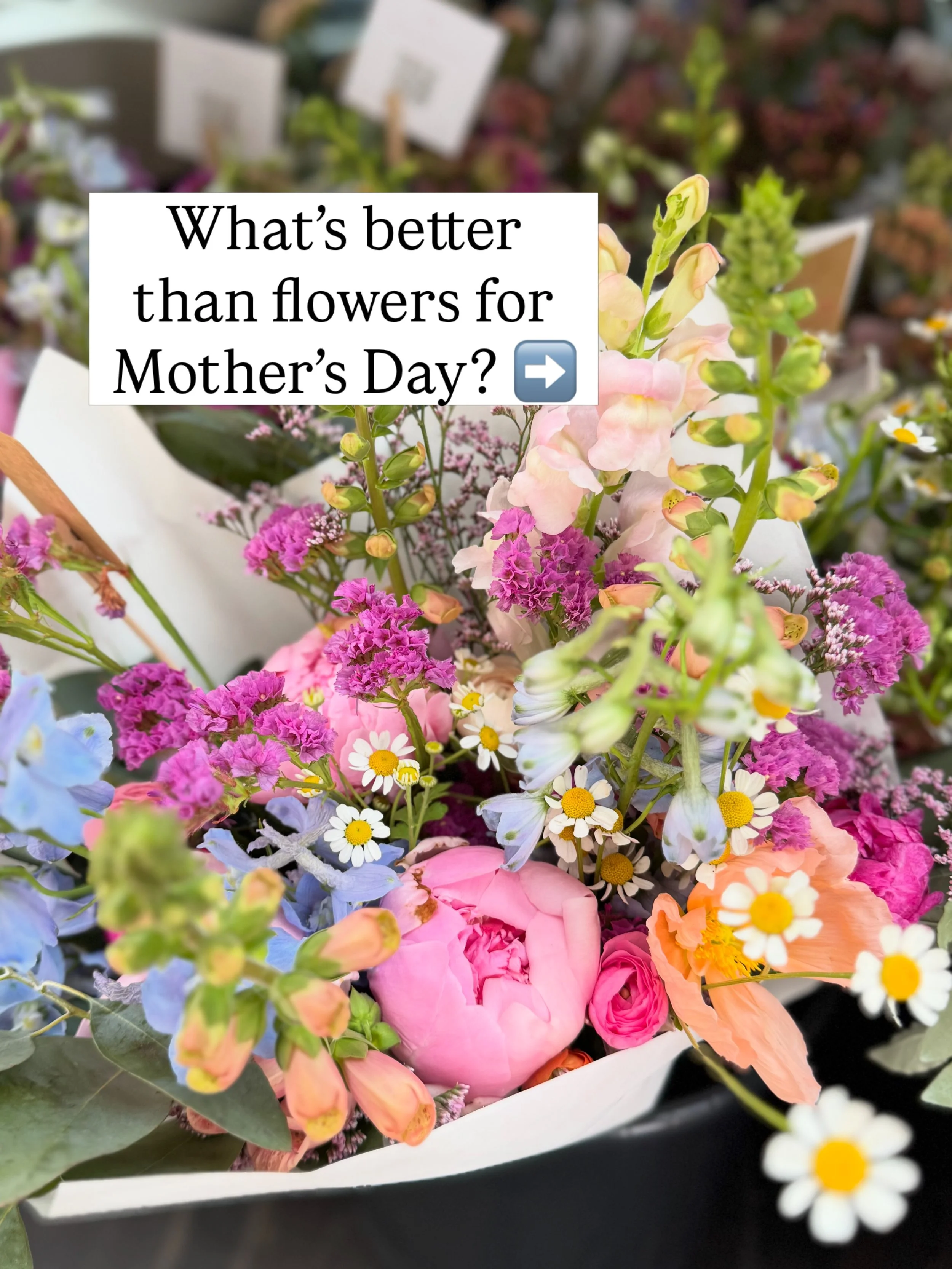 If you missed my presale and my popup - you have another chance to shop for Mom! I&rsquo;ll be dropping off a few bouquets tomorrow morning at @firstfreecoffee 🌸

So if you haven&rsquo;t gotten her flowers yet, now you can get her flowers AND delici