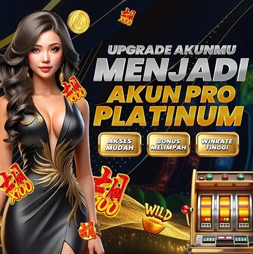 akun pro platinum.jpeg