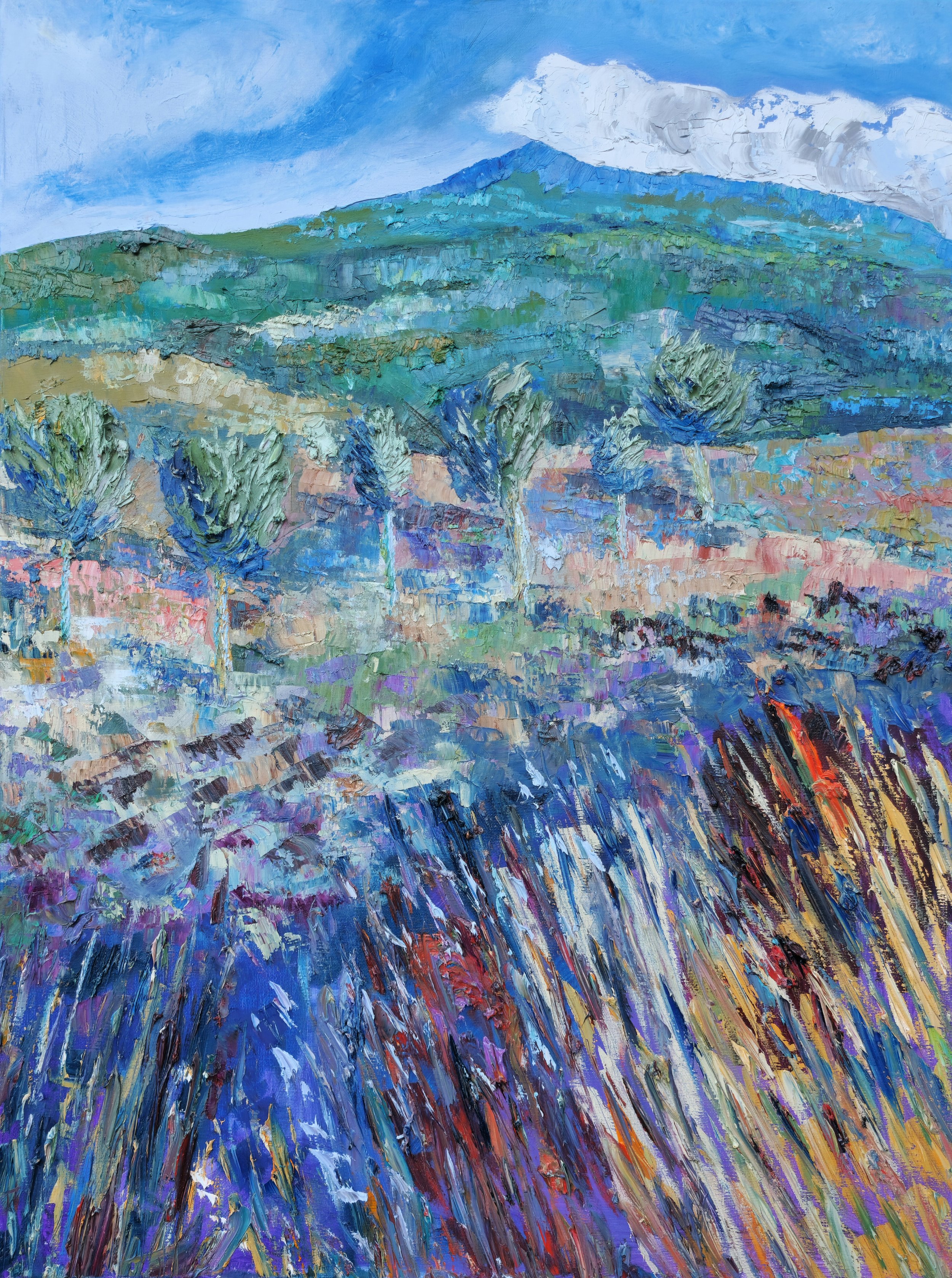 Sunny Orchard in Montenero