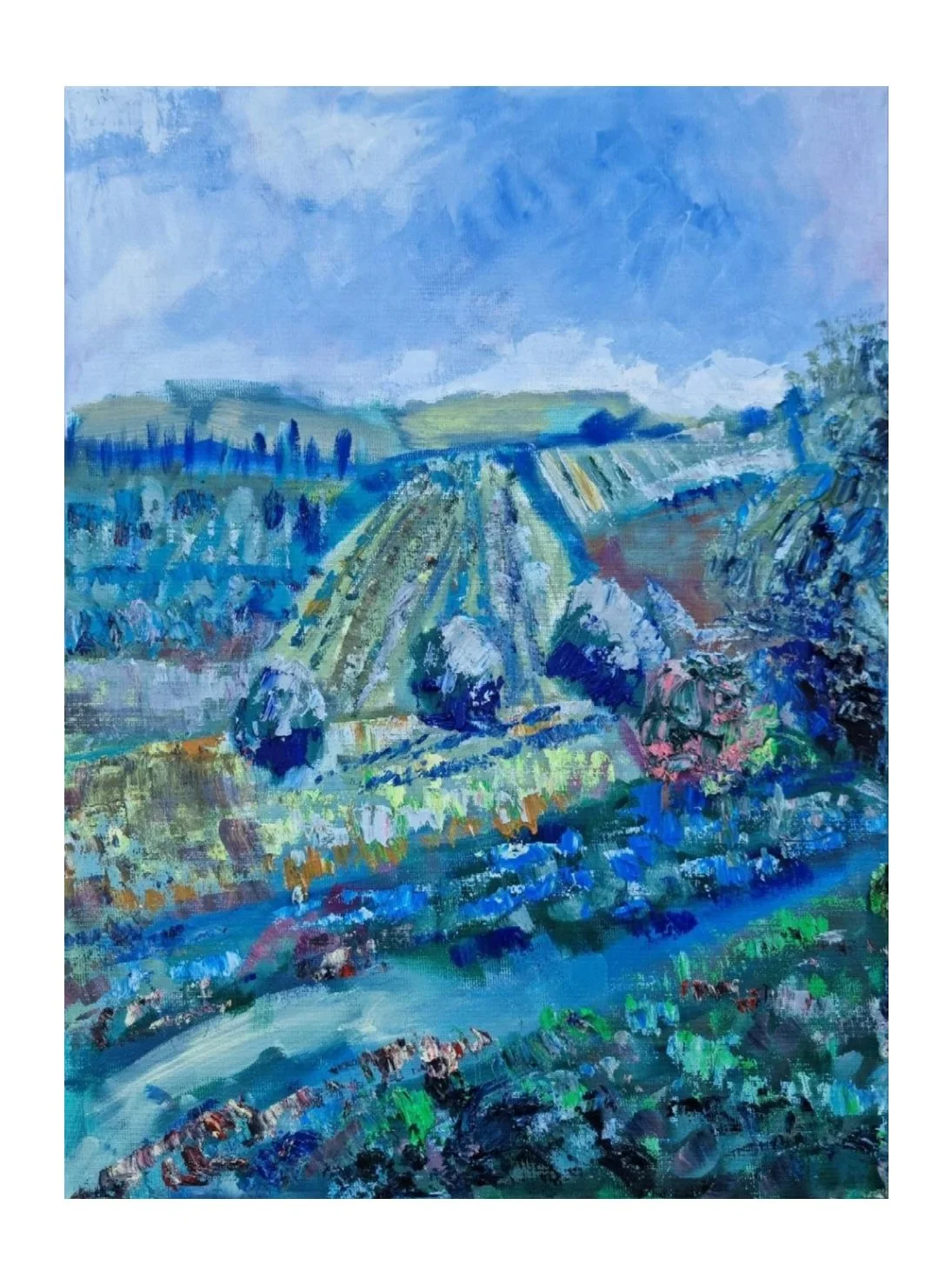Olive Groves of Sant’Antimo, 
2026, Oil on canvas, 30 × 40 cm