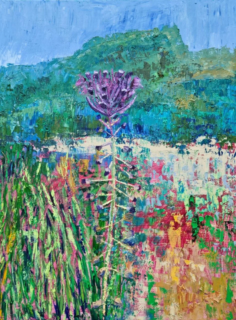 2025, Oil on canvas, 60 × 80 cm