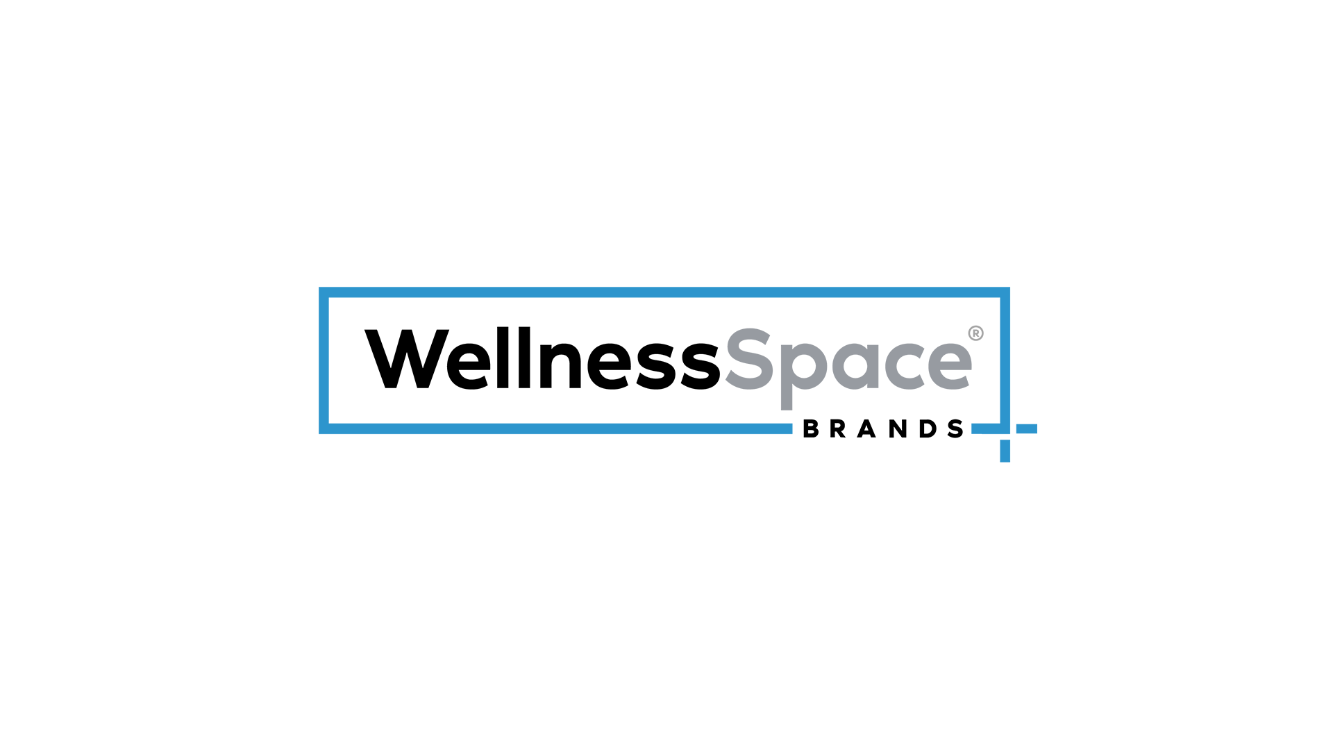 The WellnessSpace Brands logo.