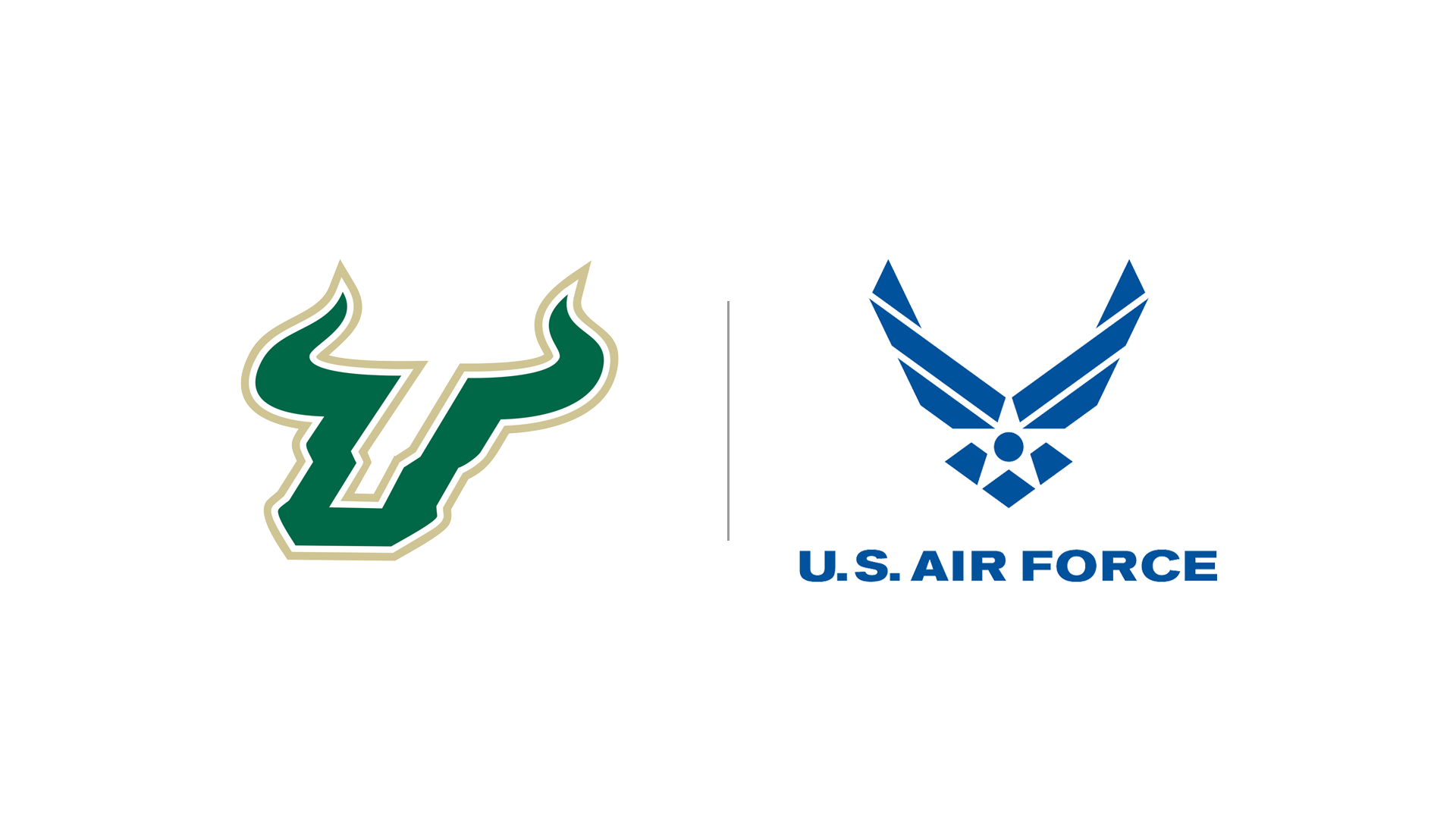 The USF Bulls and US Air Force logo.