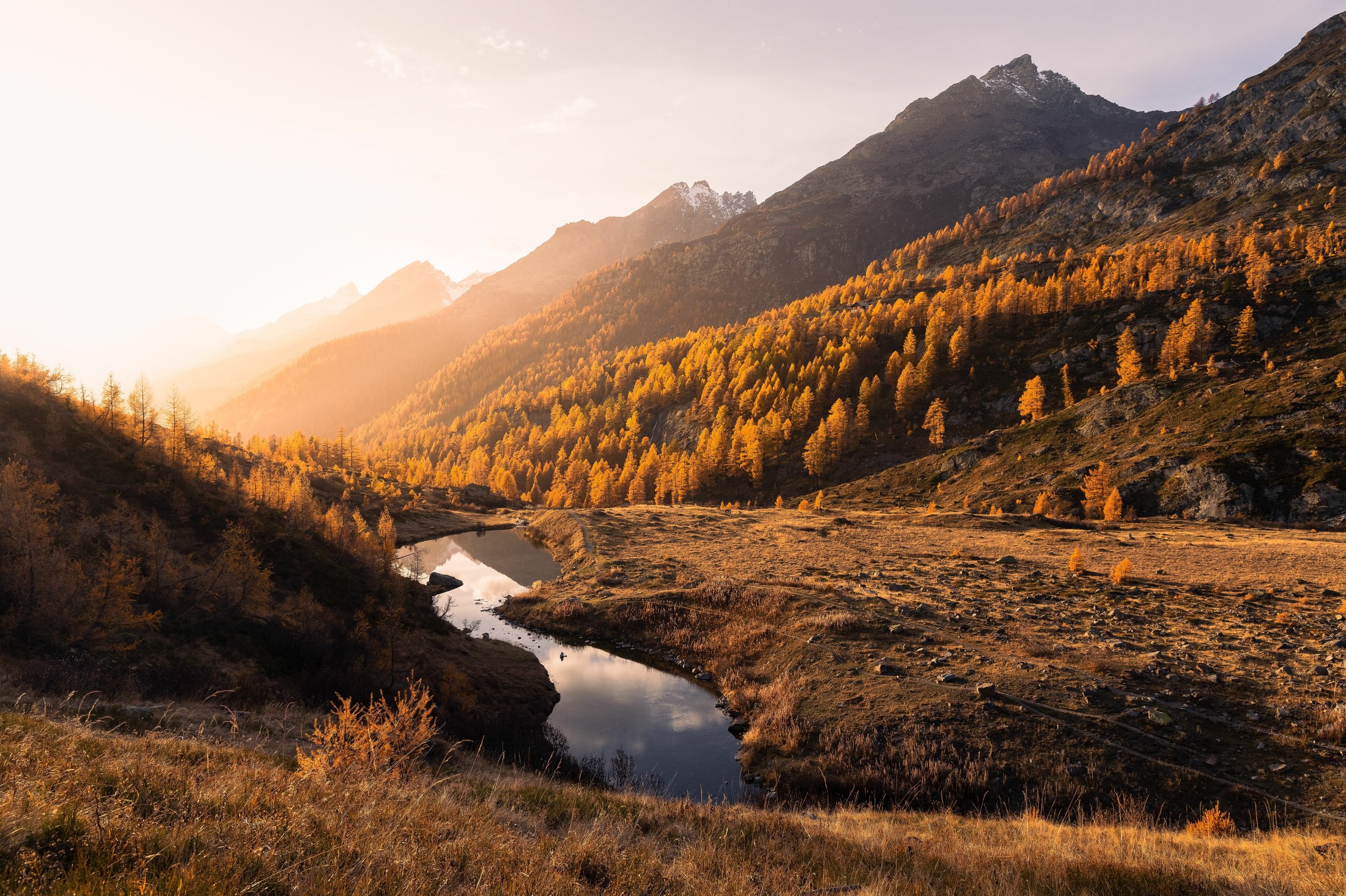 AdobeStock_595292569.jpeg