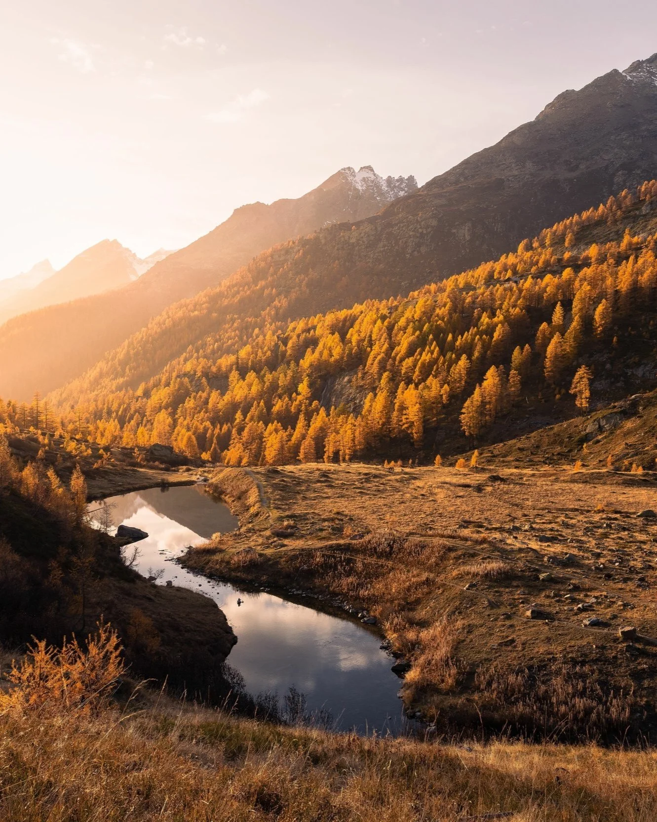 Herbstliche Berglandschaft mit Fluss, goldene Bäume und schneebedeckte Berge im Hintergrund bei Sonnenuntergang