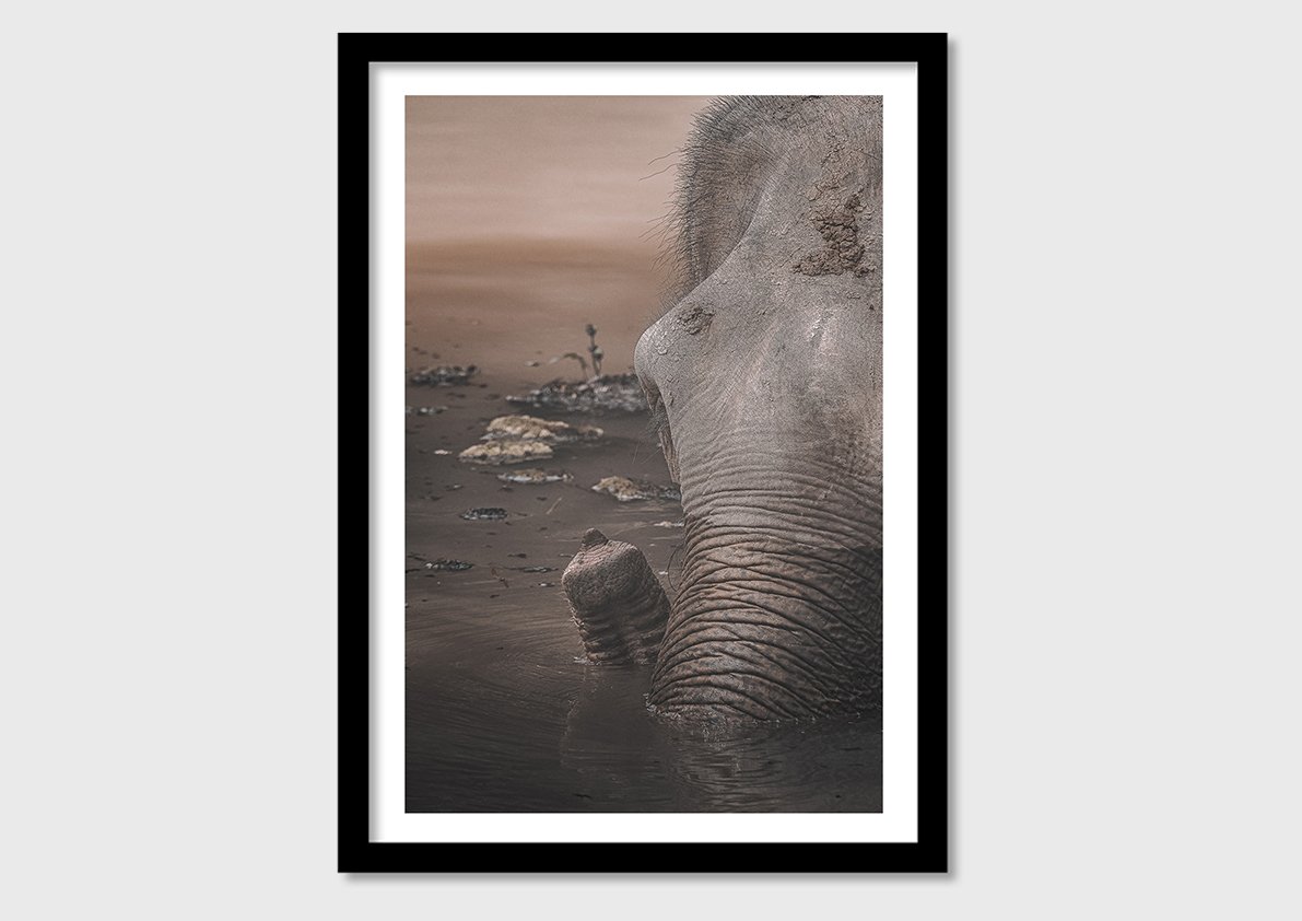 WALL_PRINT-18.jpg