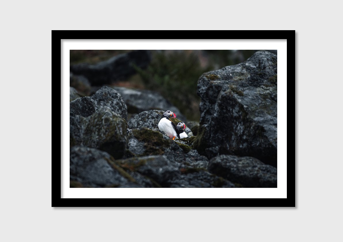 WALL_PRINT-2.jpg