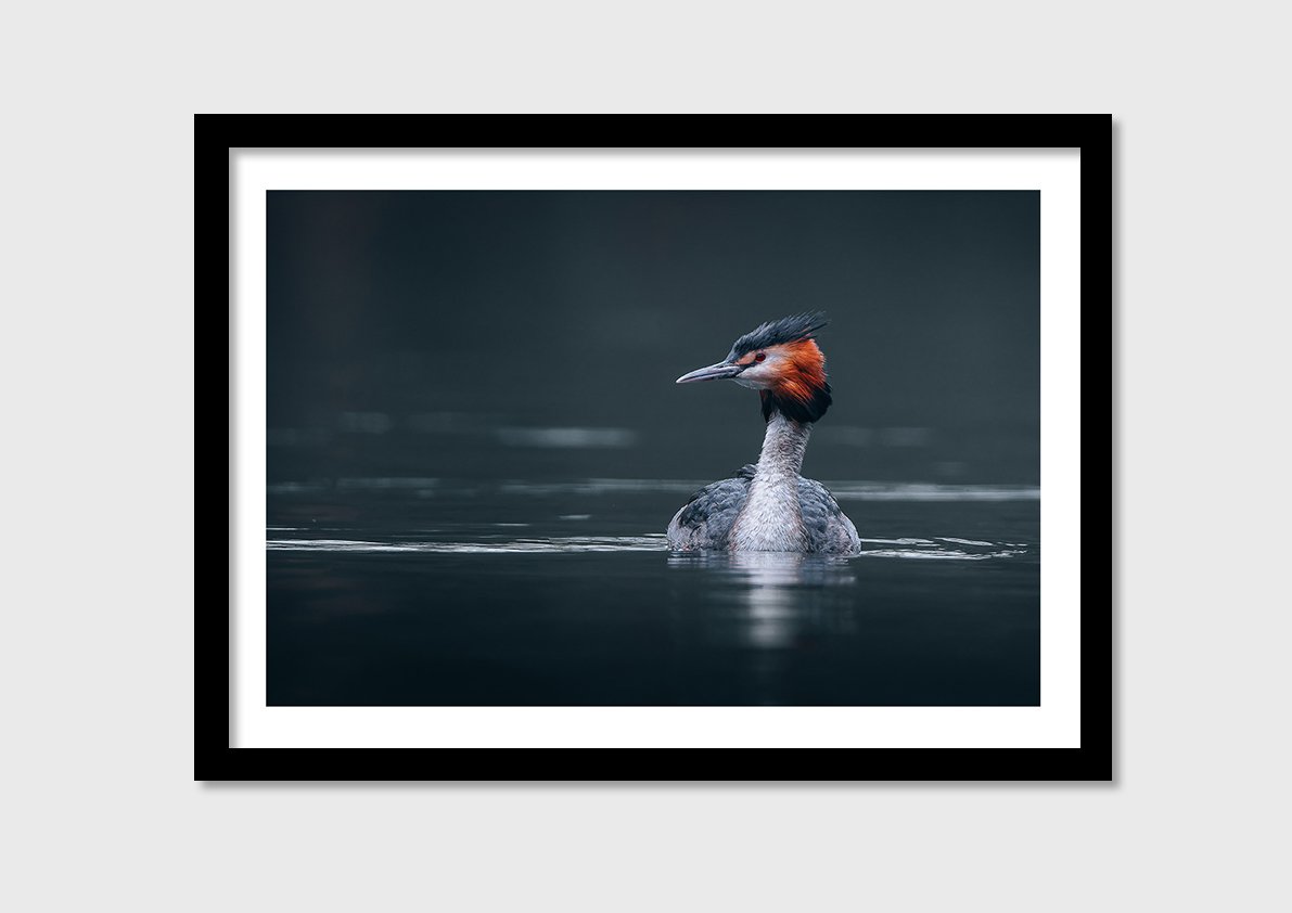 WALL_PRINT-6.jpg