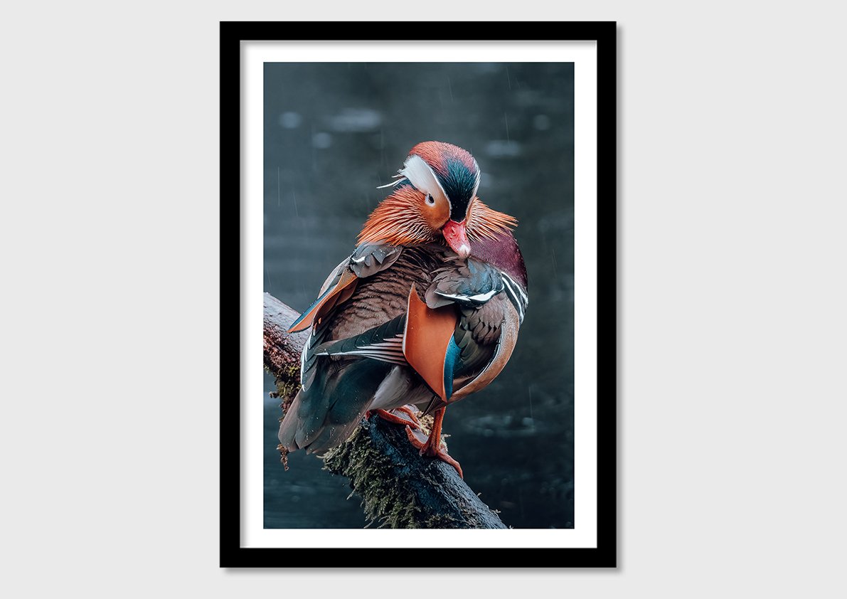 WALL_PRINT-8.jpg