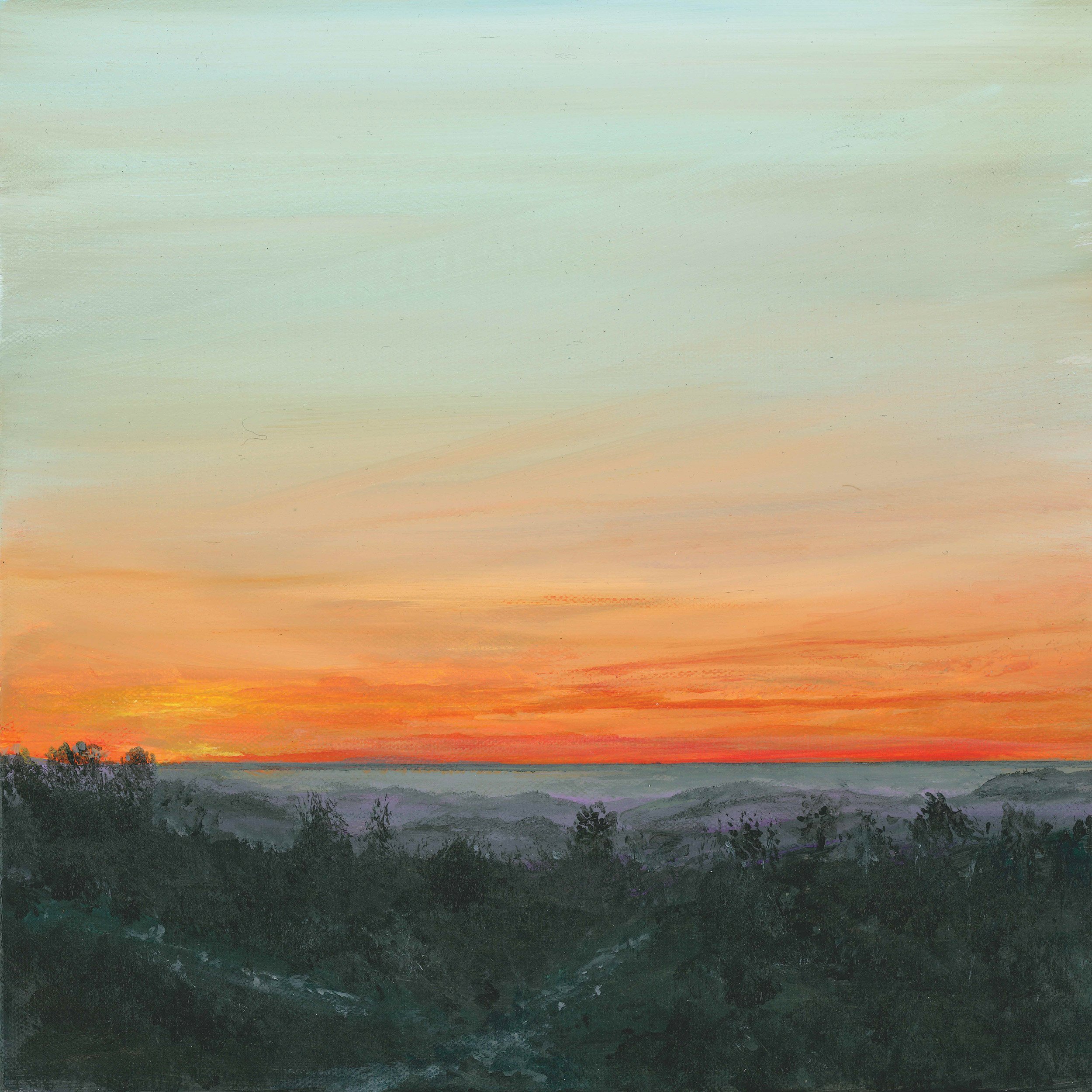 Morning-Sunrise-on-Woodbury-Common.jpg