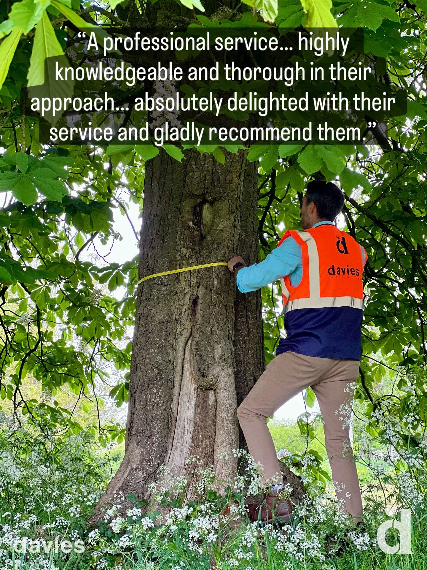 🌳 Another happy client! 🌳

We&rsquo;re thrilled to share this glowing review from a recent tree survey:

&ldquo;A professional service&hellip; highly knowledgeable and thorough in their approach&hellip; absolutely delighted with their service and g