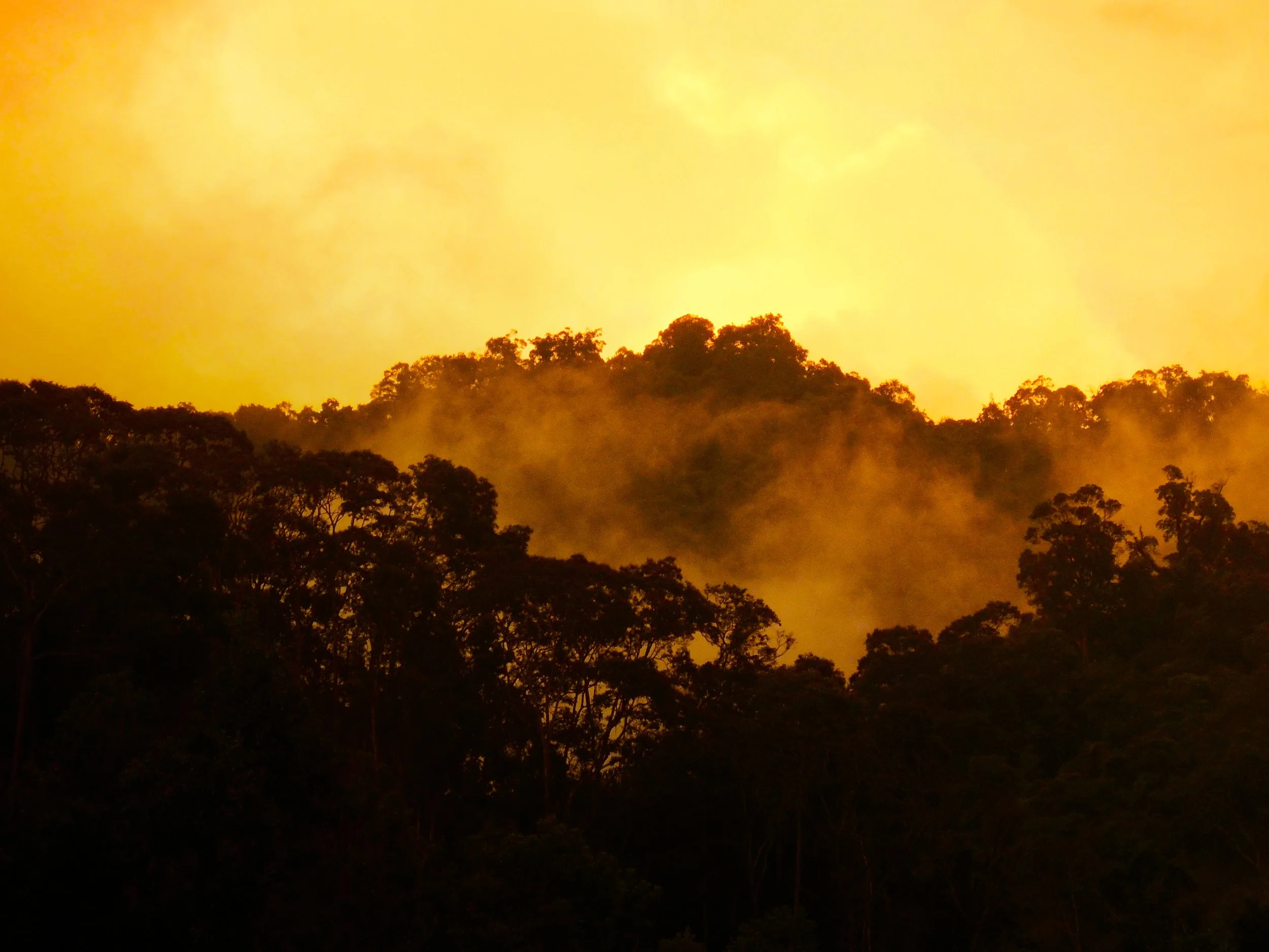 sunrise in Vietnama.jpg