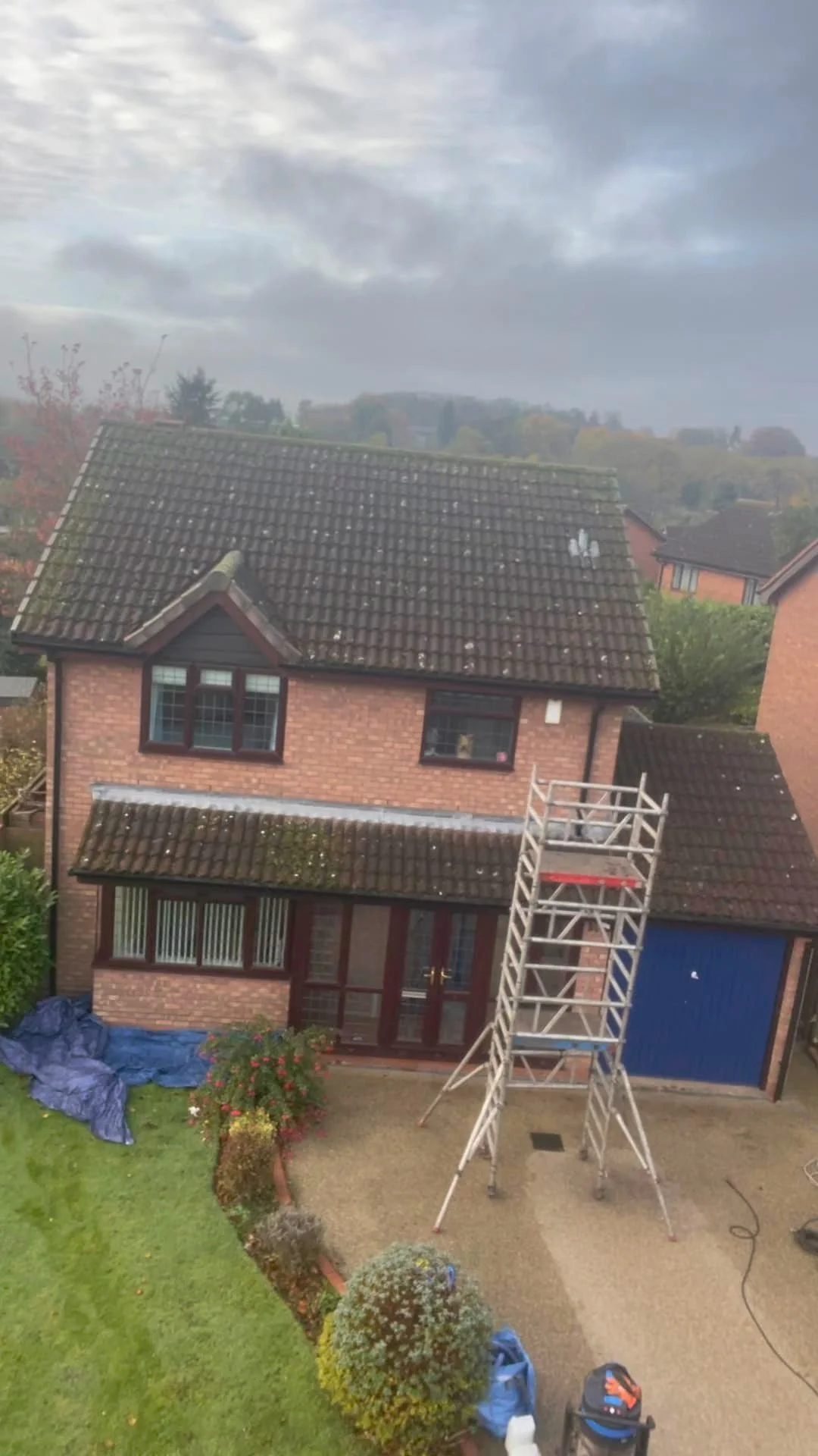 roof 16.jpg