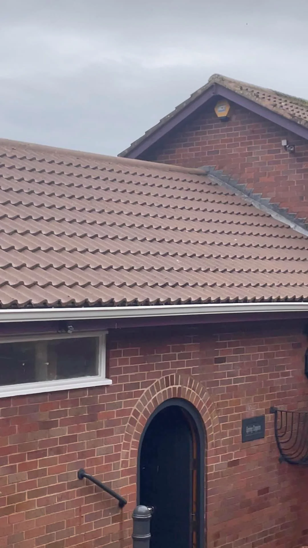 roof 19.jpg