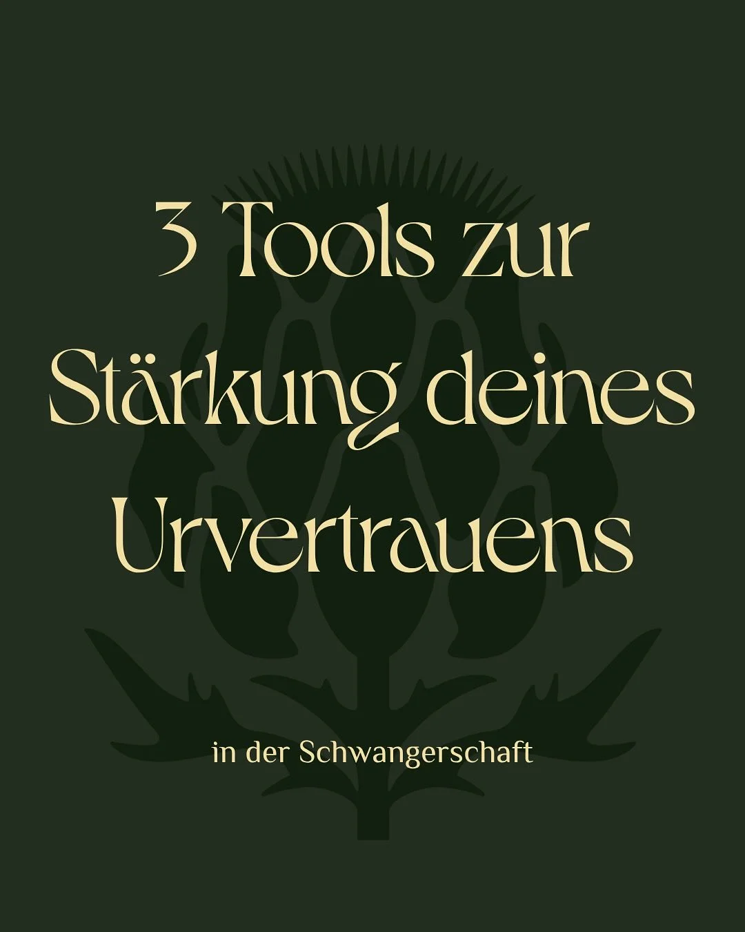 Dein Urvertrauen ist da.
Es ist nicht weg – nur manchmal leiser als der Rest der Welt.
Diese 3 Tools helfen dir, dich wieder mit dir selbst zu verbinden – mit deinem Baby, deinem Körper, deiner Weisheit.
✨ Atem
✨ Journaling
✨ Selbs