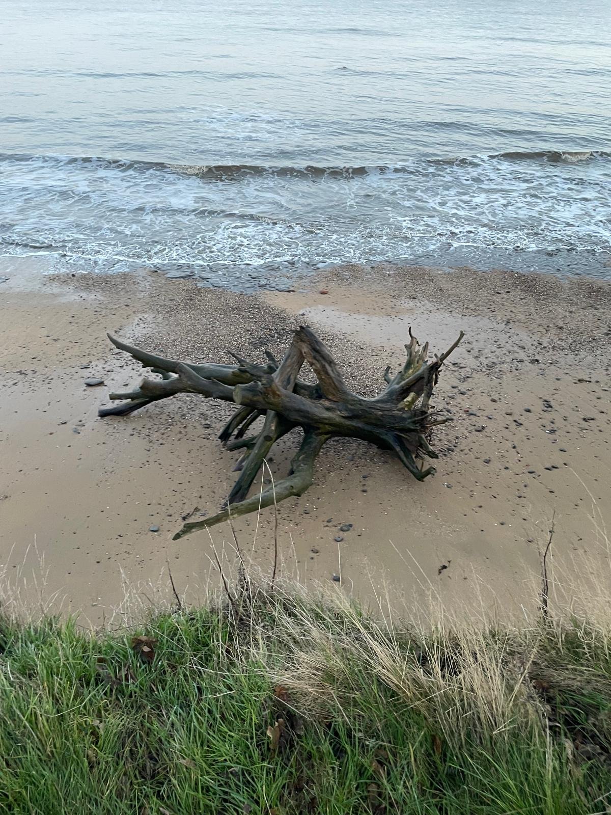 WhatsApp Image 2025-06-04 at 11.10.51 (1).jpeg