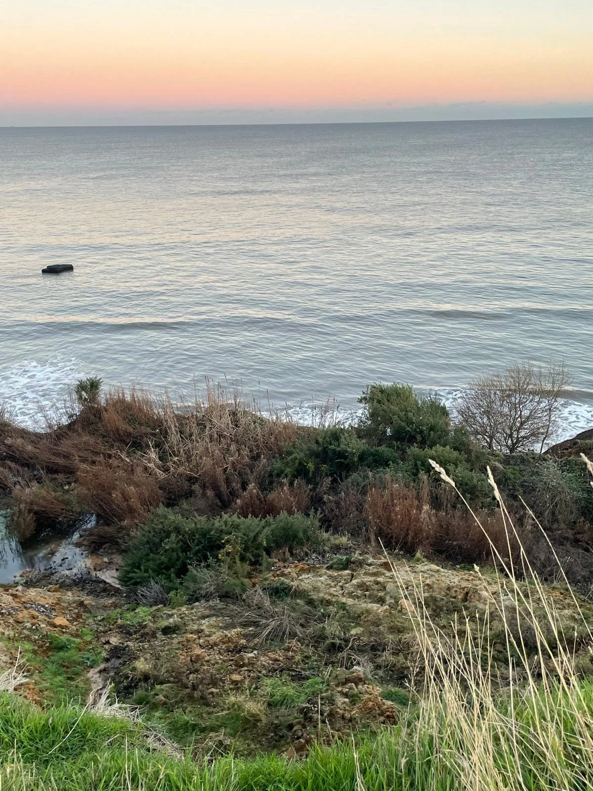 WhatsApp Image 2025-06-04 at 11.09.16.jpeg