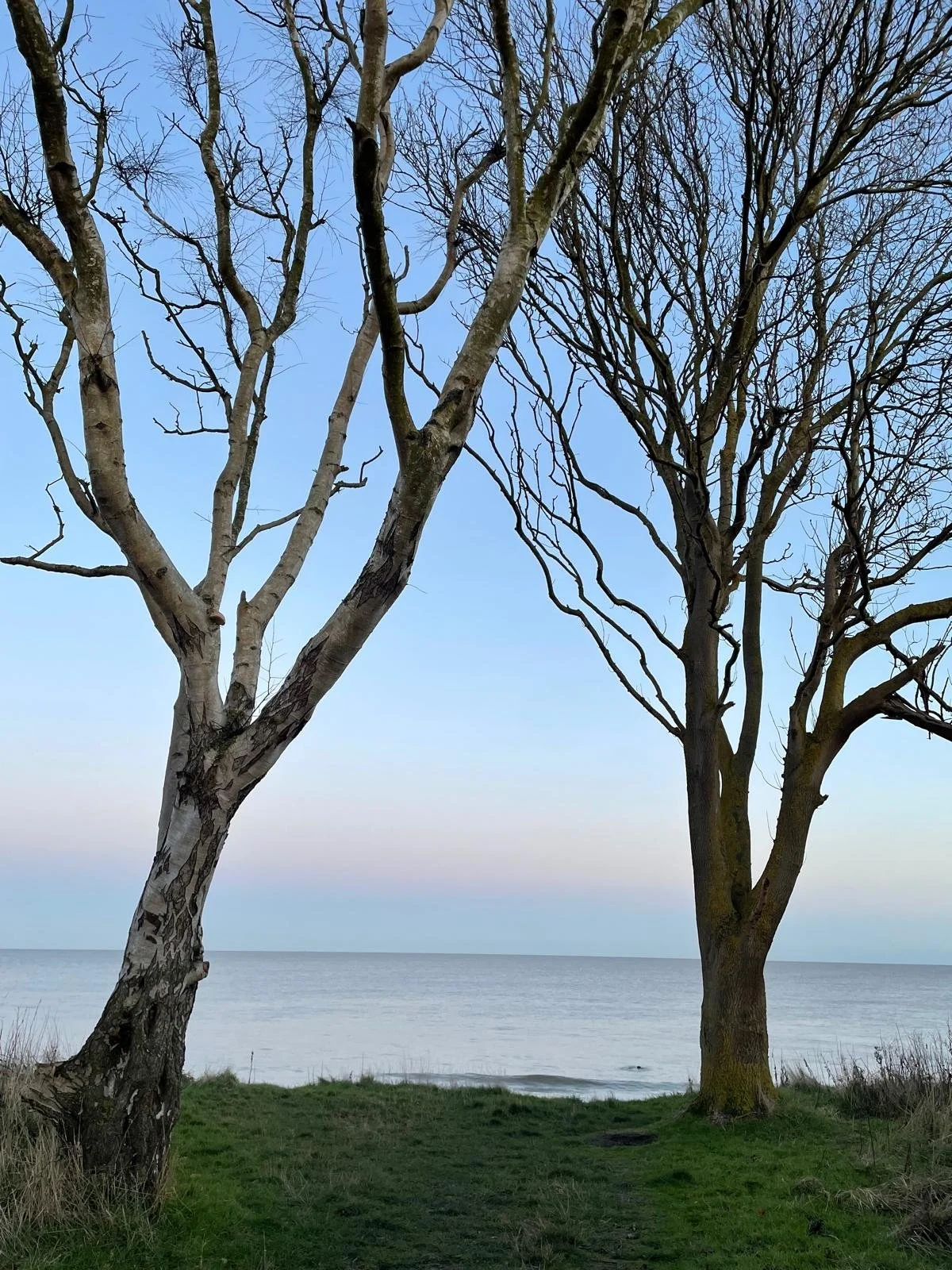 WhatsApp Image 2025-06-04 at 11.10.51 (2).jpeg