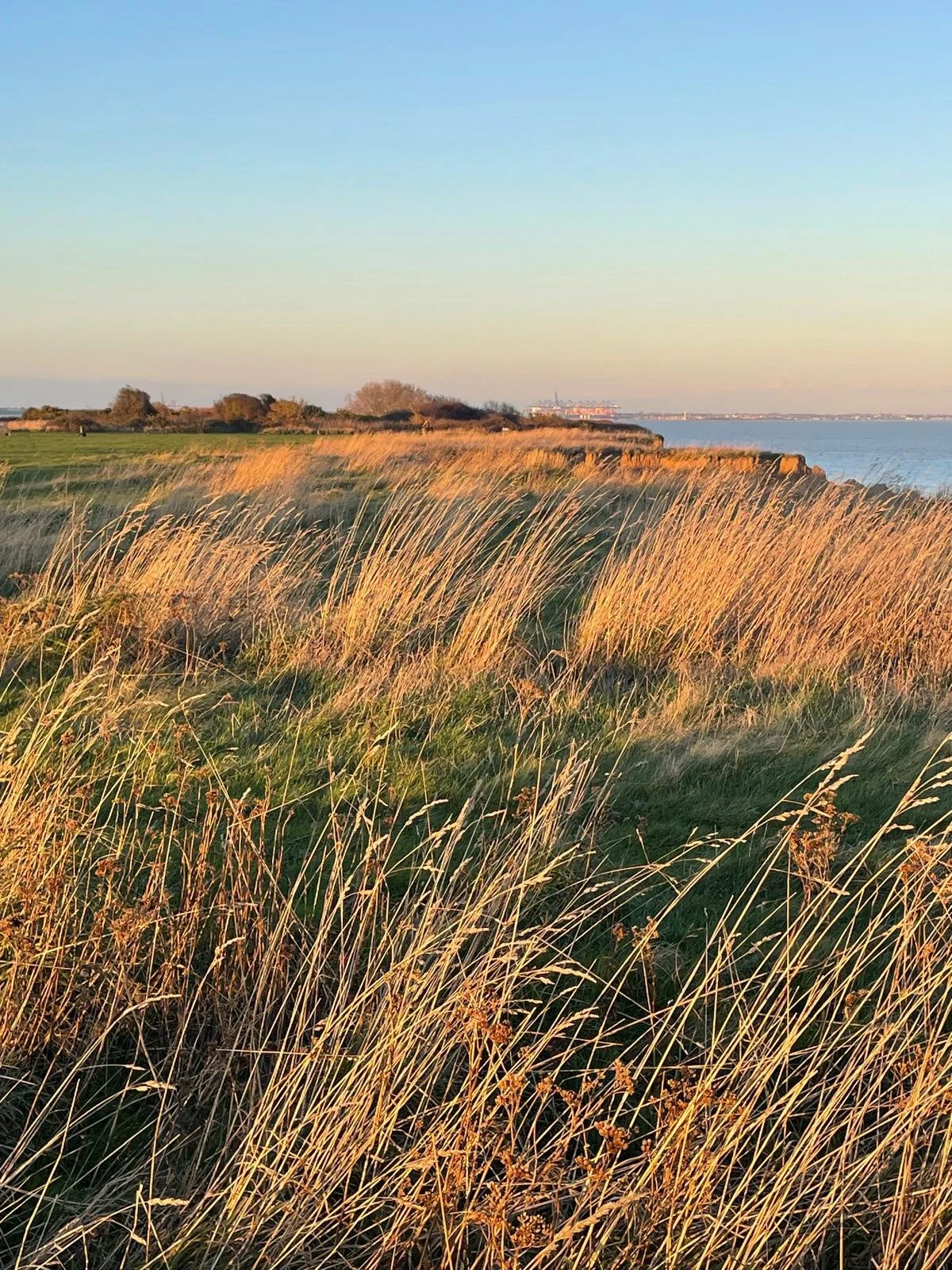 WhatsApp Image 2025-06-04 at 11.07.48.jpeg