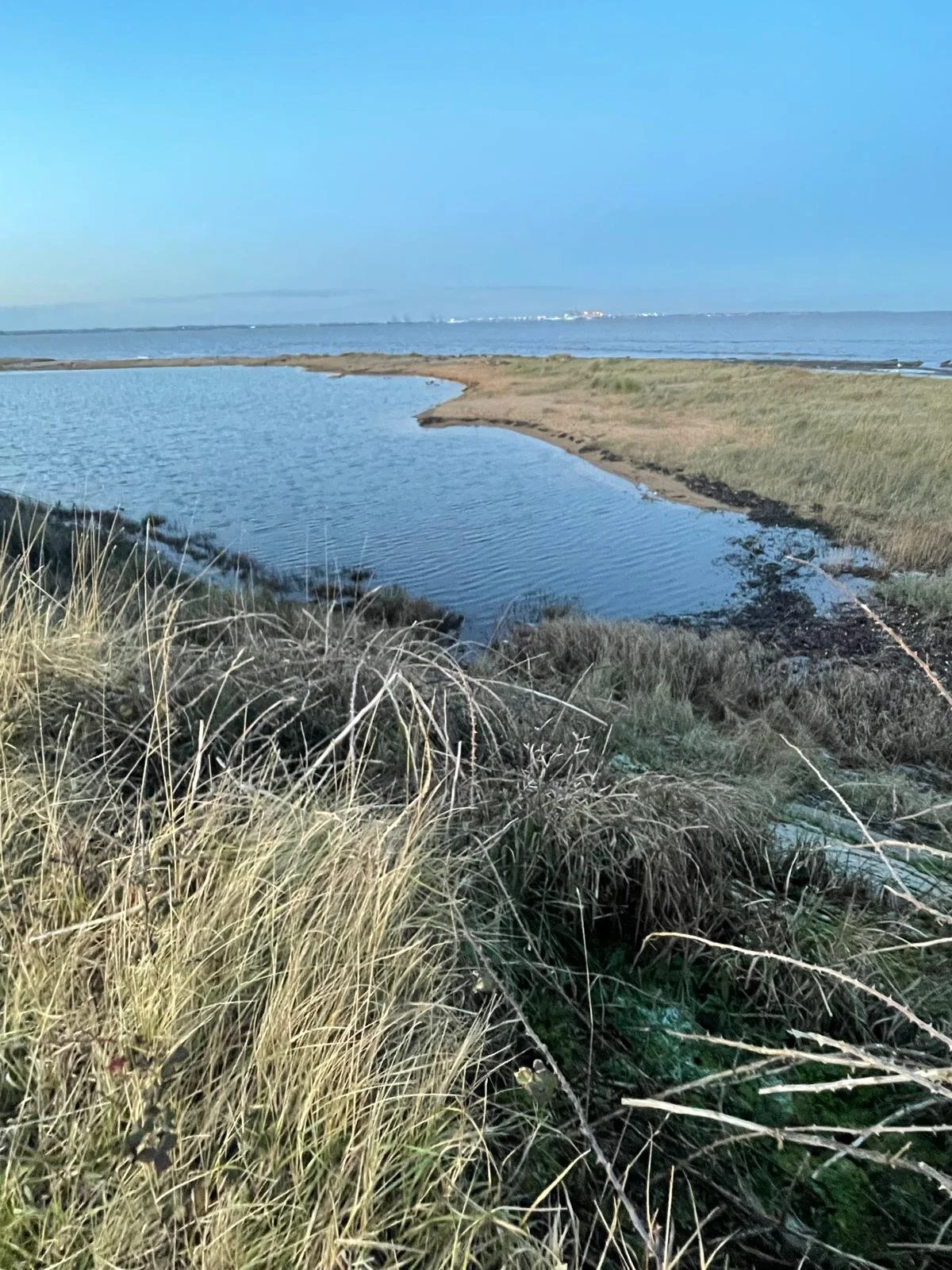 WhatsApp Image 2025-06-04 at 11.10.53.jpeg