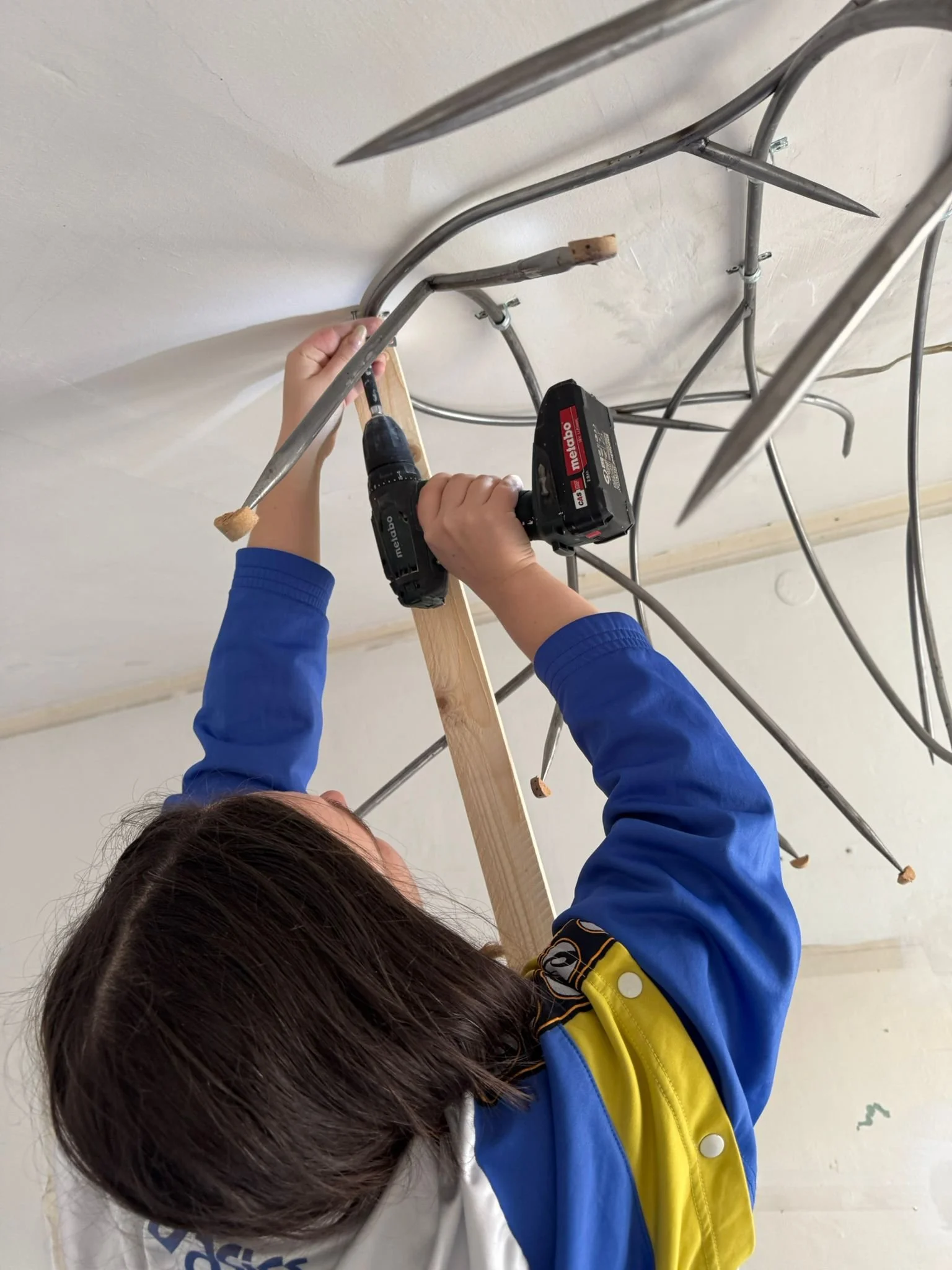 0-3 IMG-20251019-WA0014.jpg