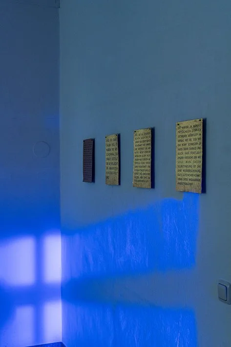 3-Elena Kaufmann 4.jpg