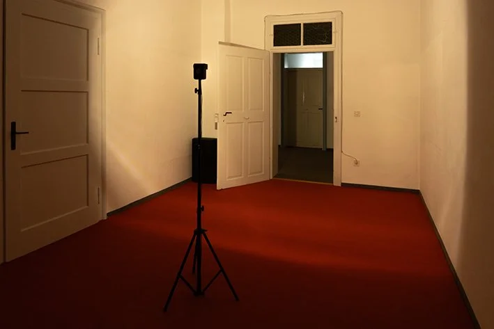 8-Jonas Höschl 3.jpg