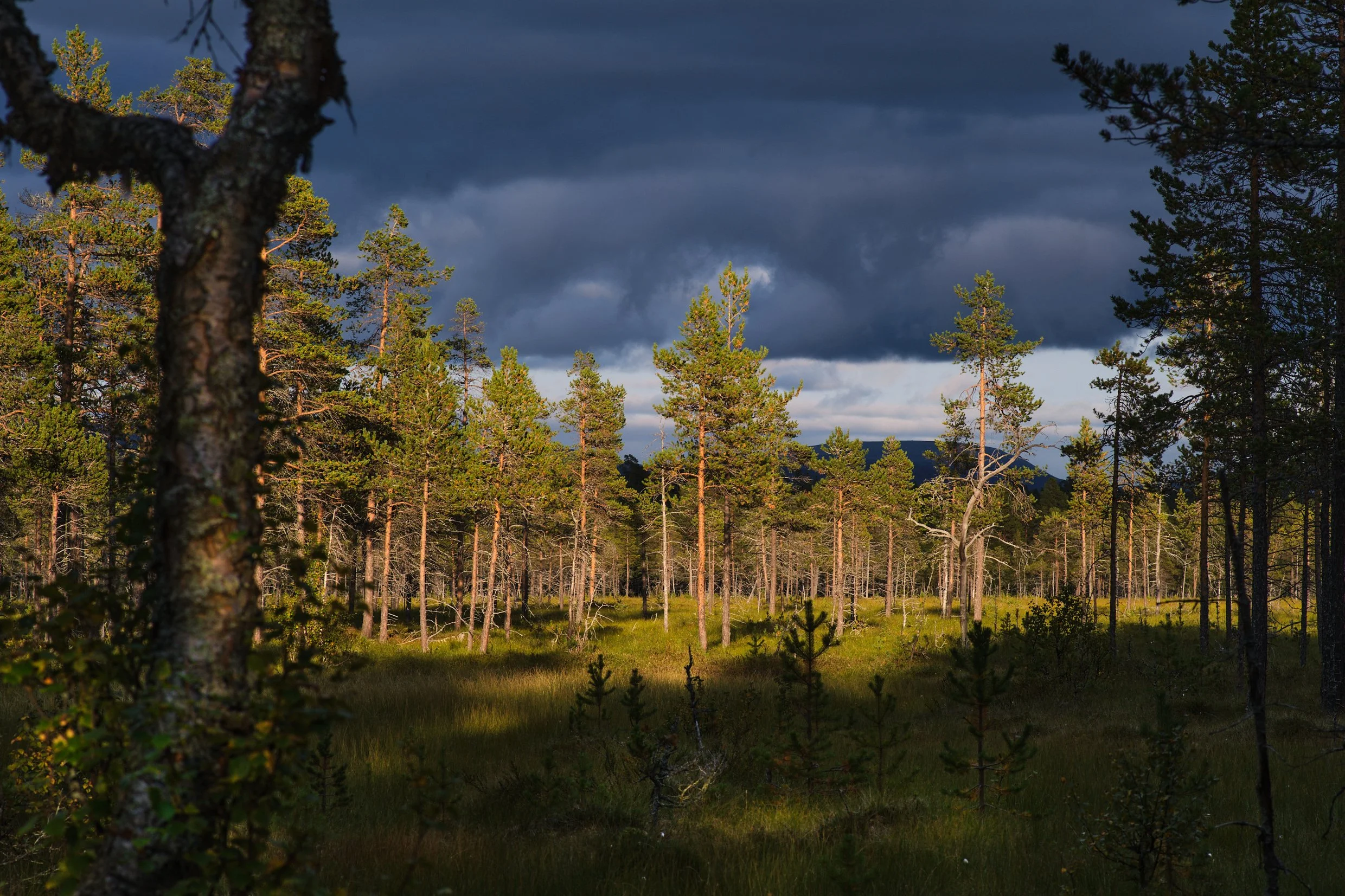 DSCF2946.jpg