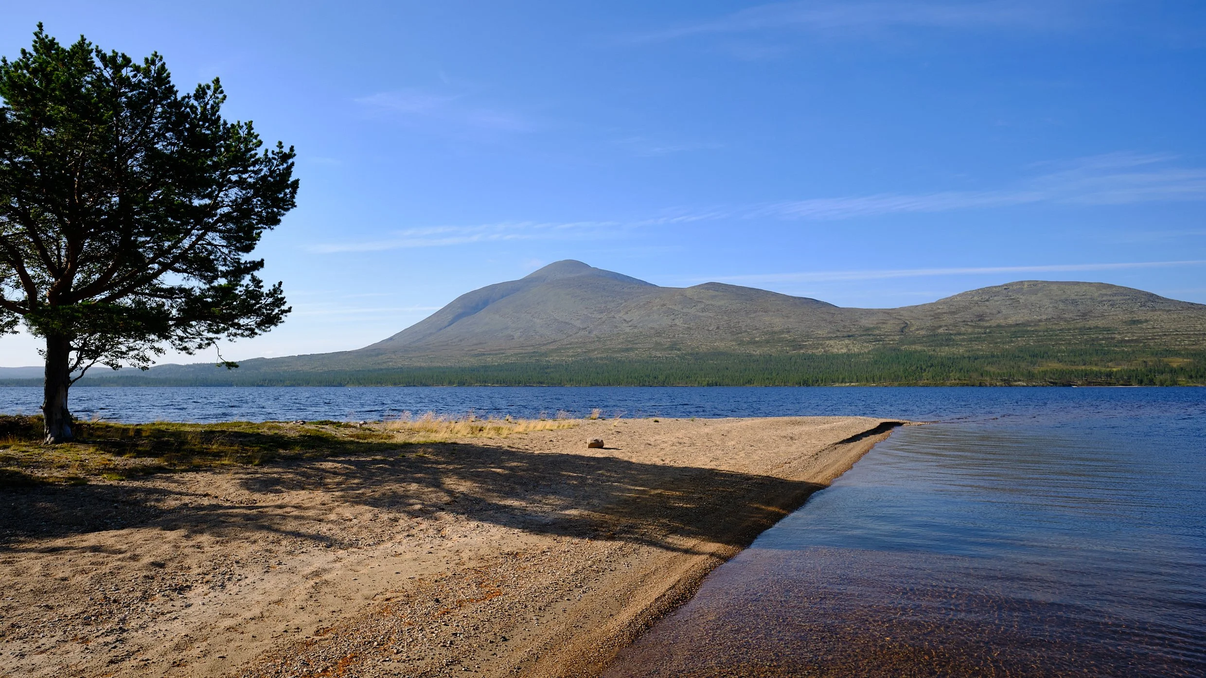 DSCF8659.jpg