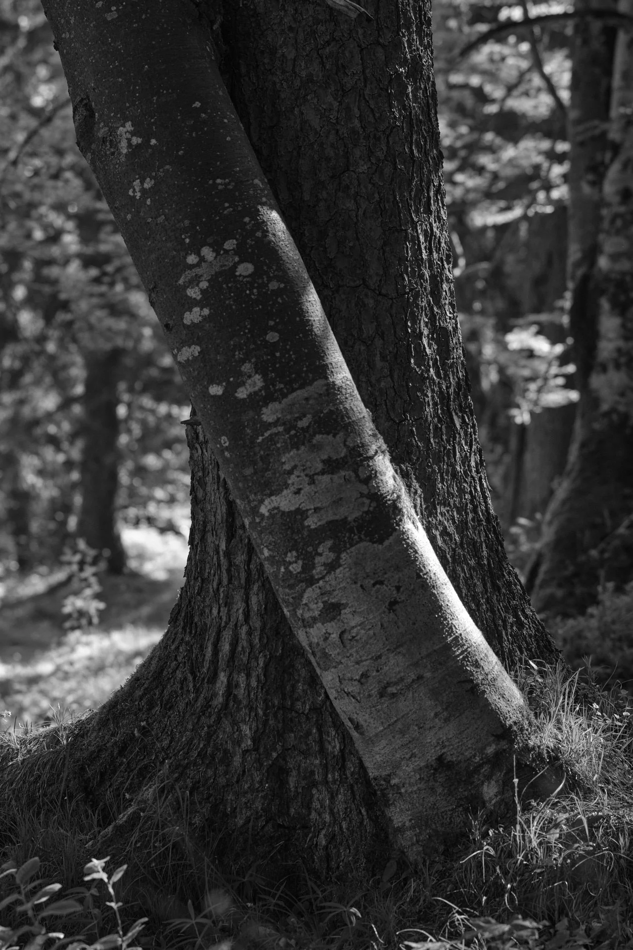 DSCF4821_1920.jpg
