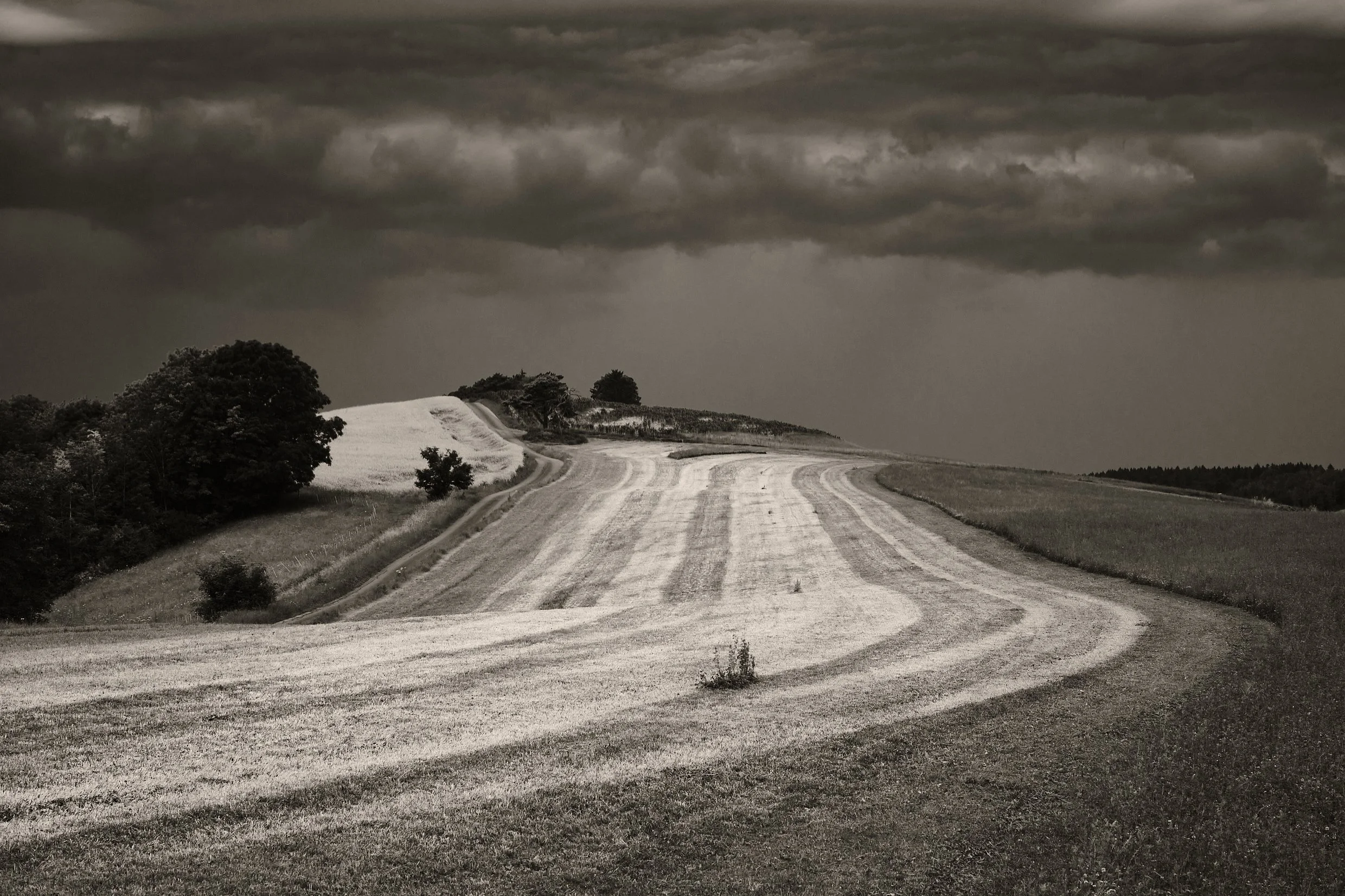 DSCF7617.jpg
