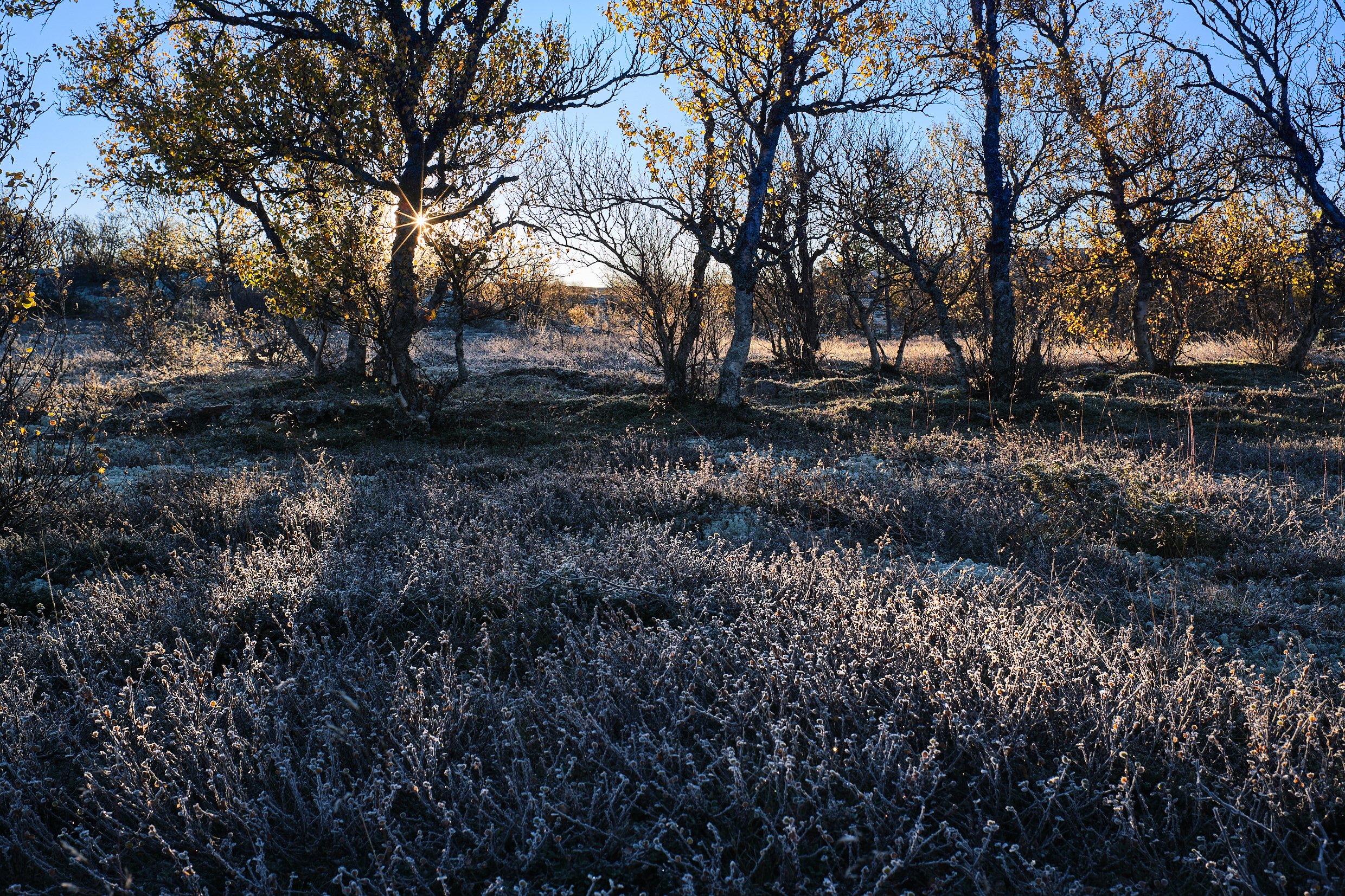DSCF9385.jpg
