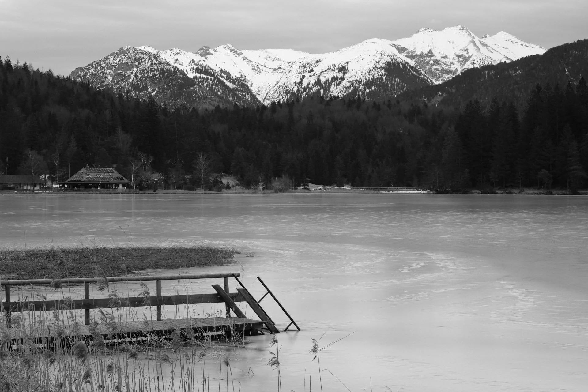 DSCF0633_1920.jpg