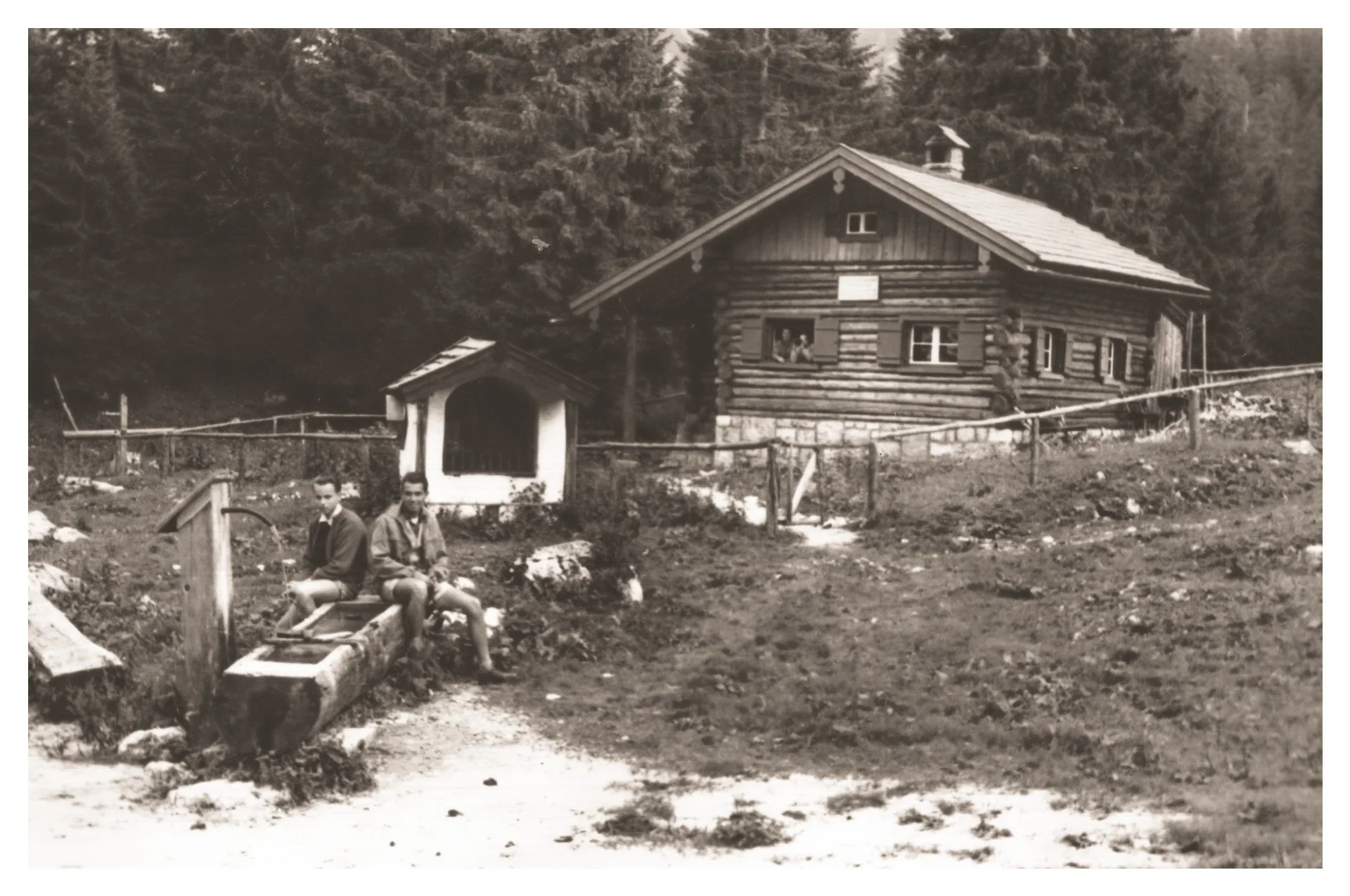 Vereiner Alm